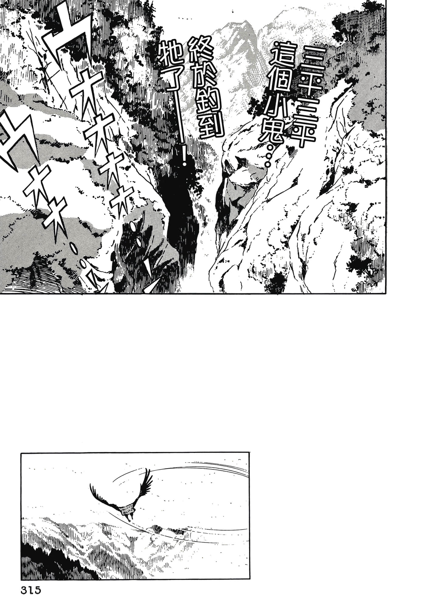 Page 315