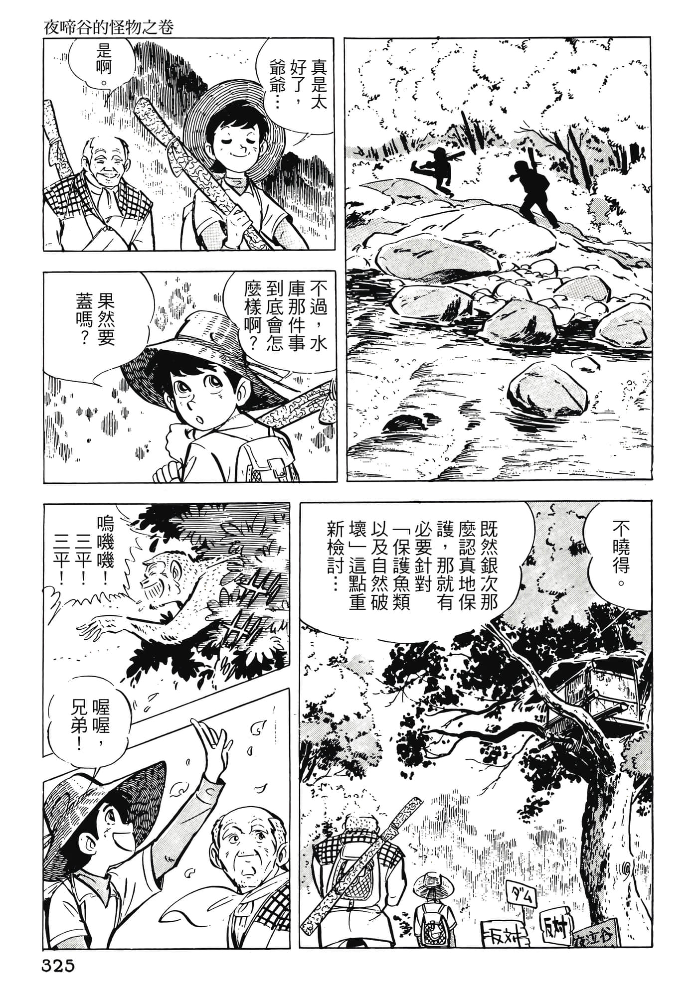 Page 325