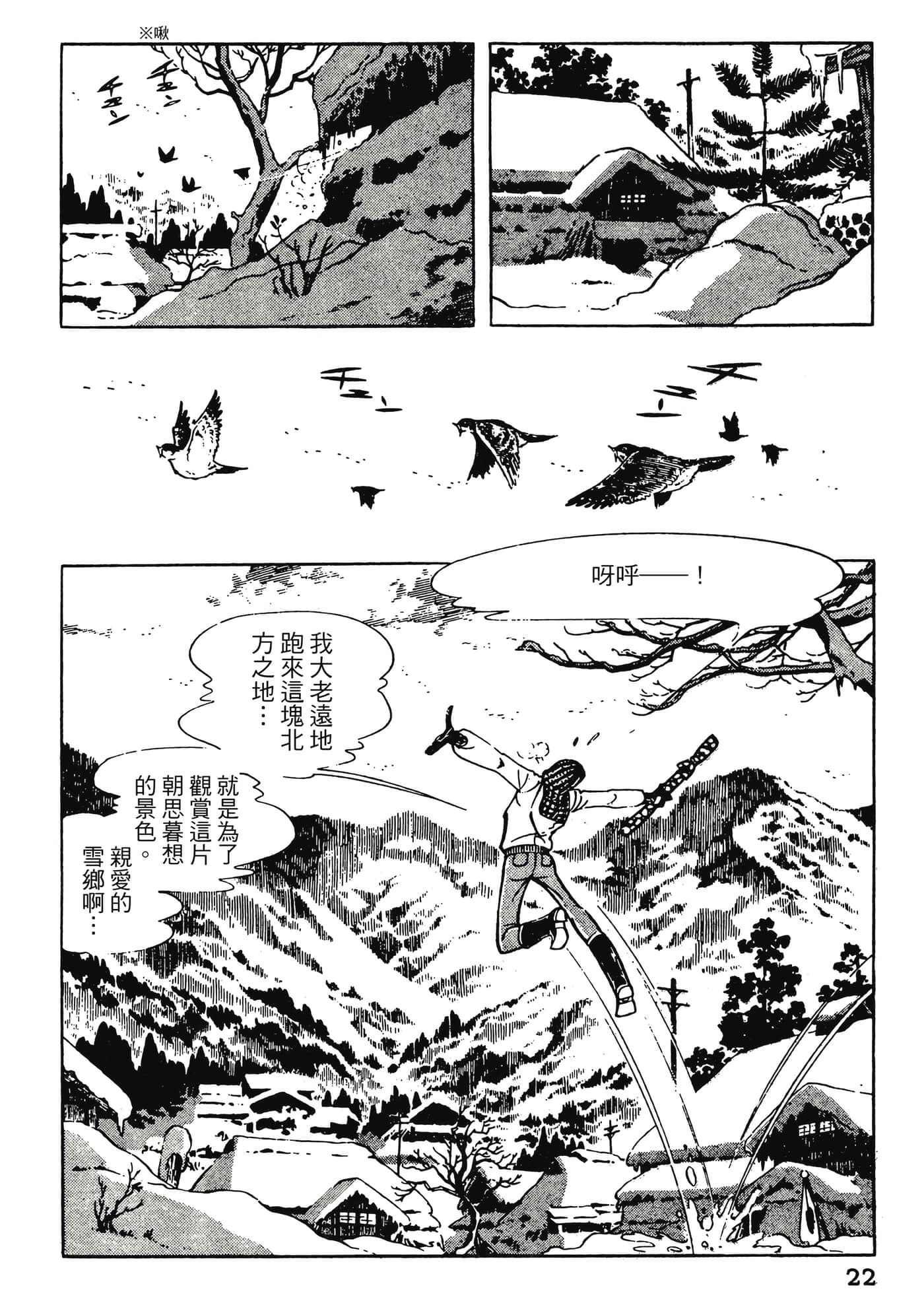 Page 22