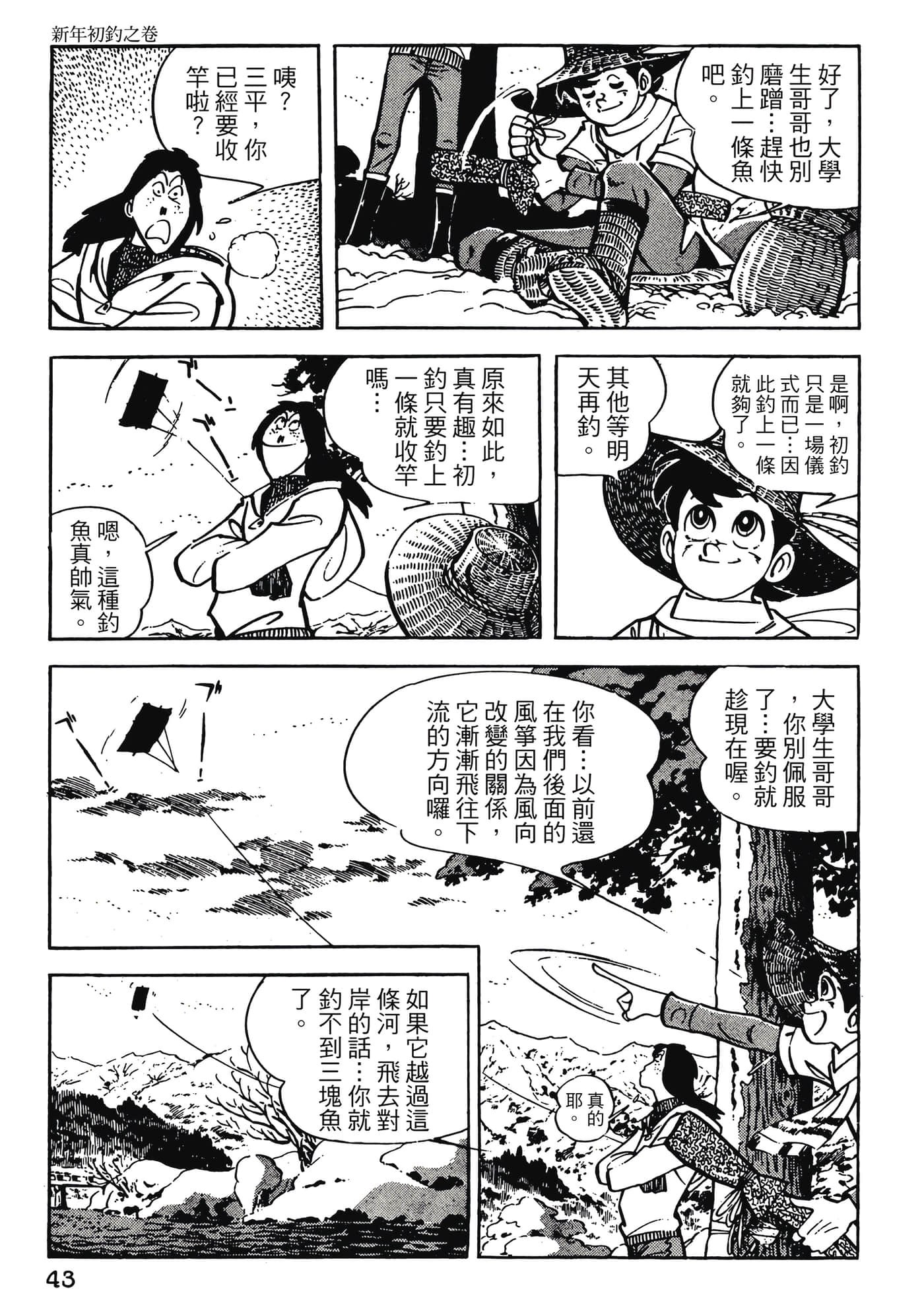Page 43