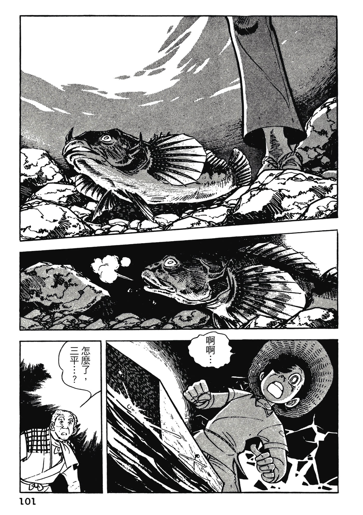 Page 101