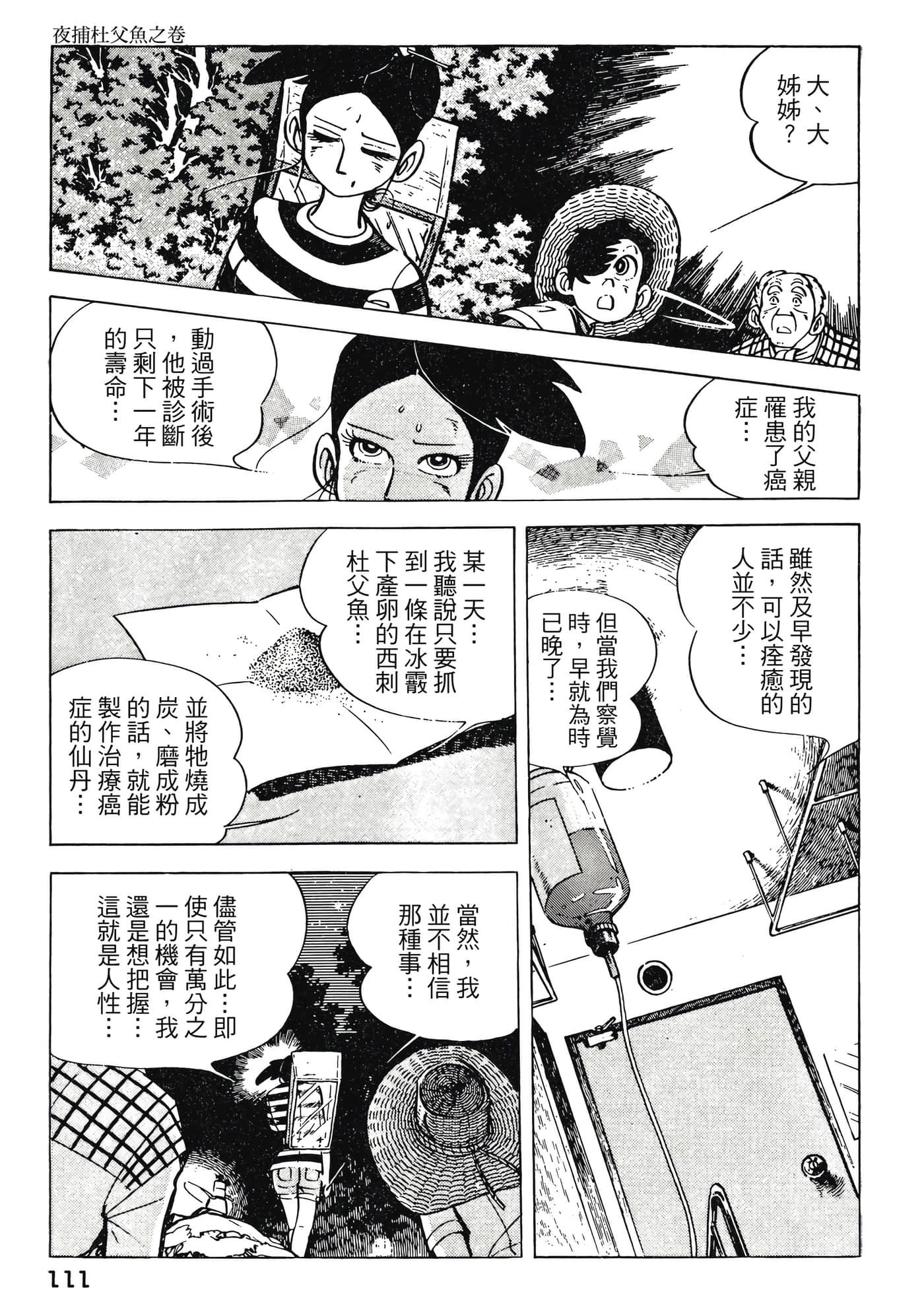 Page 111