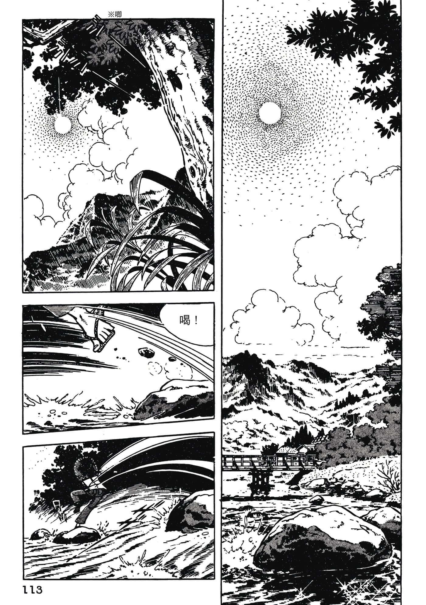 Page 113