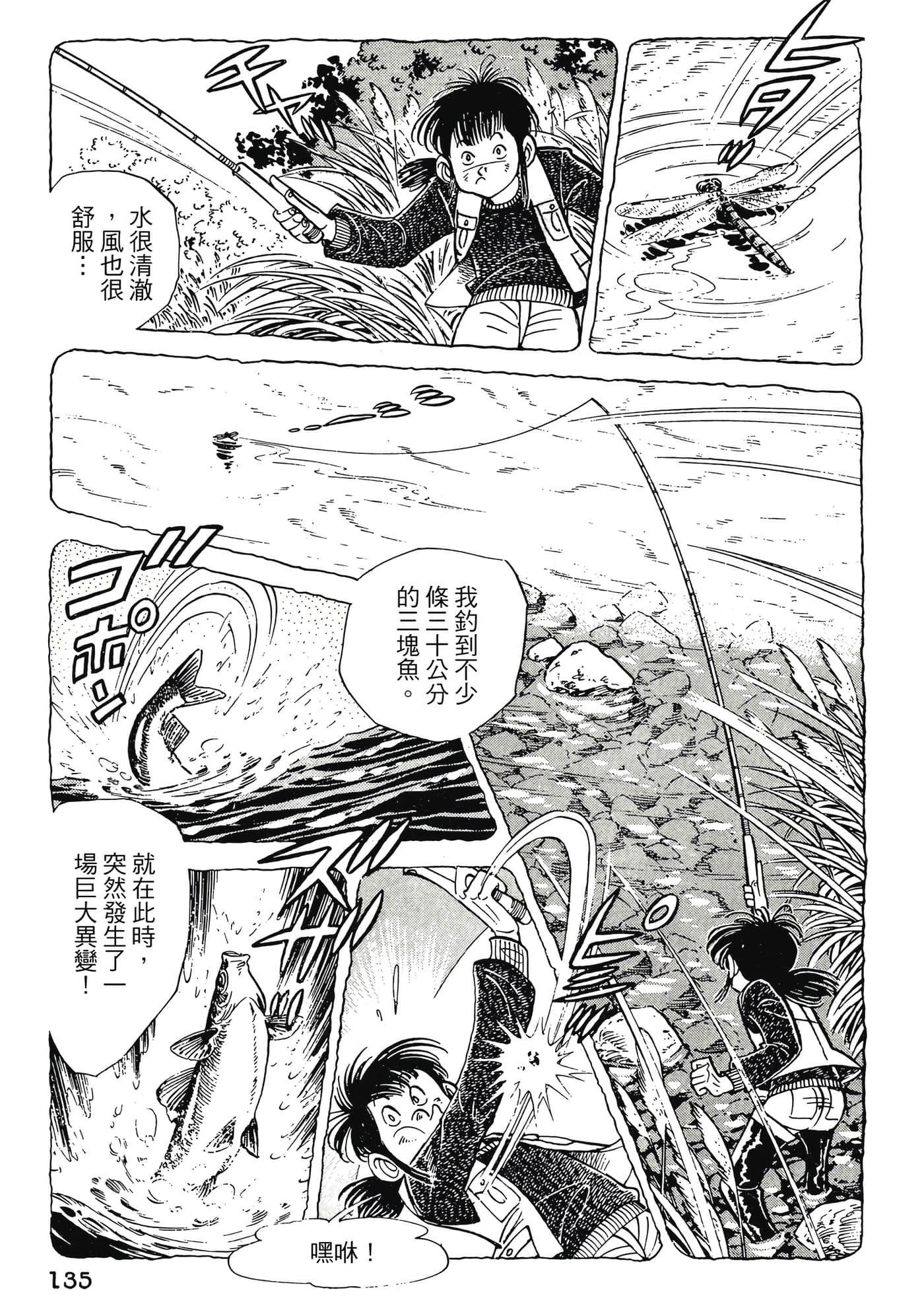 Page 135
