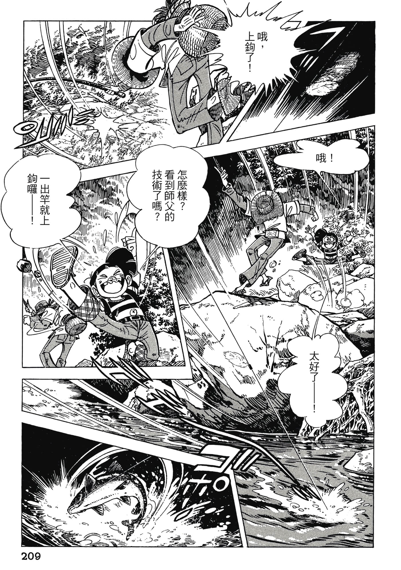 Page 209