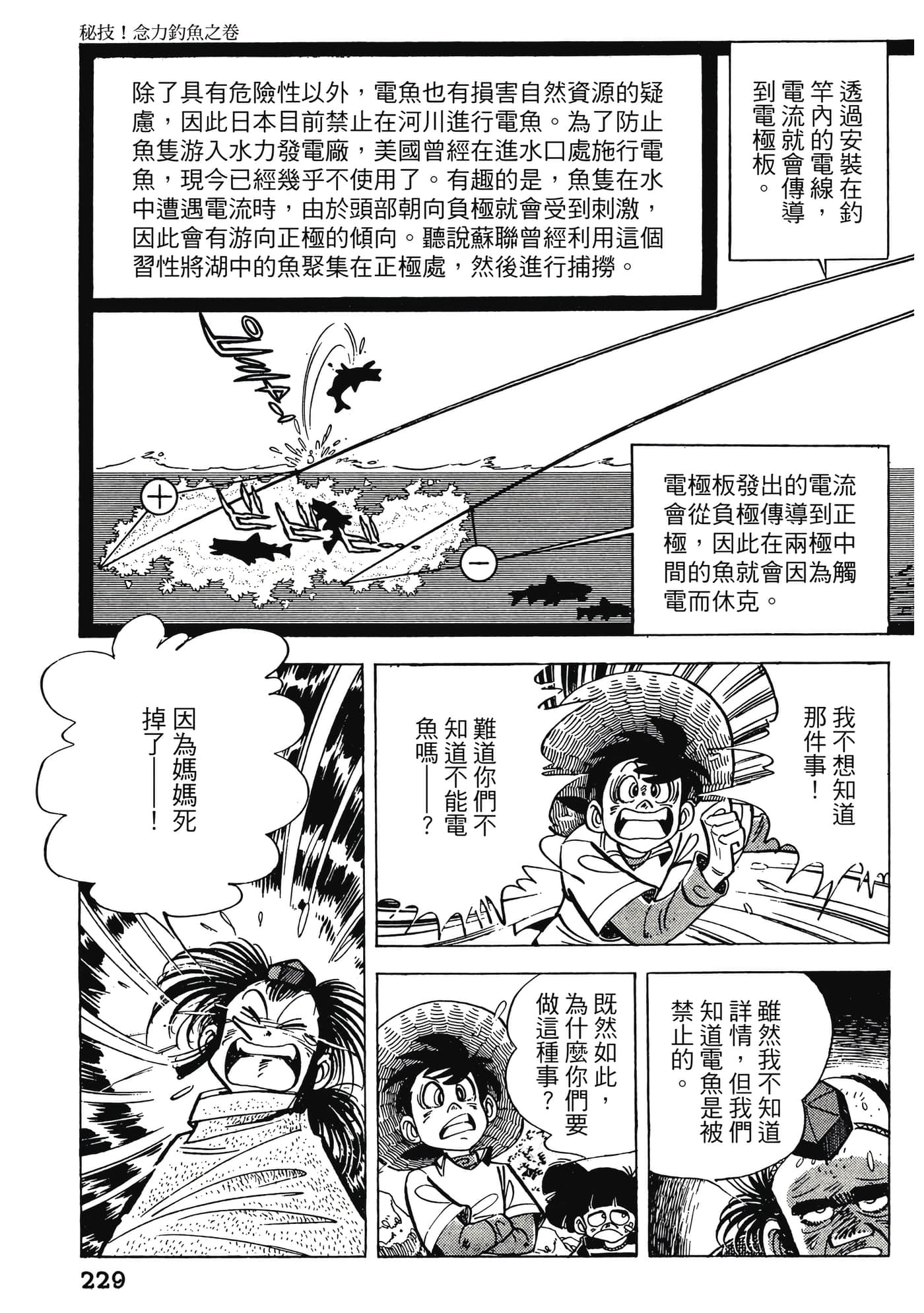 Page 229