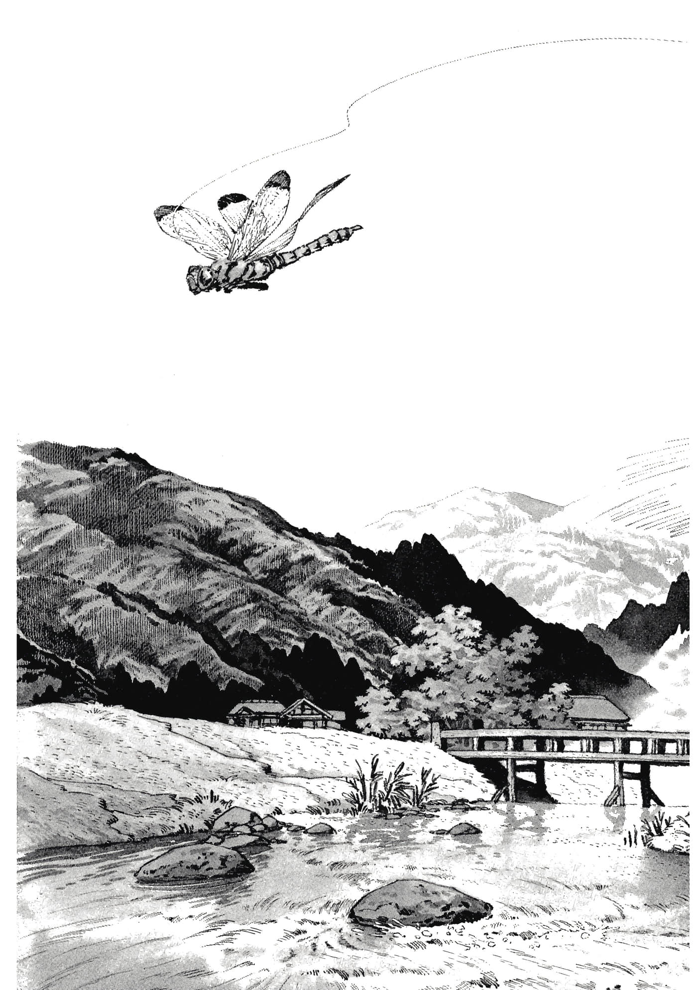 Page 235