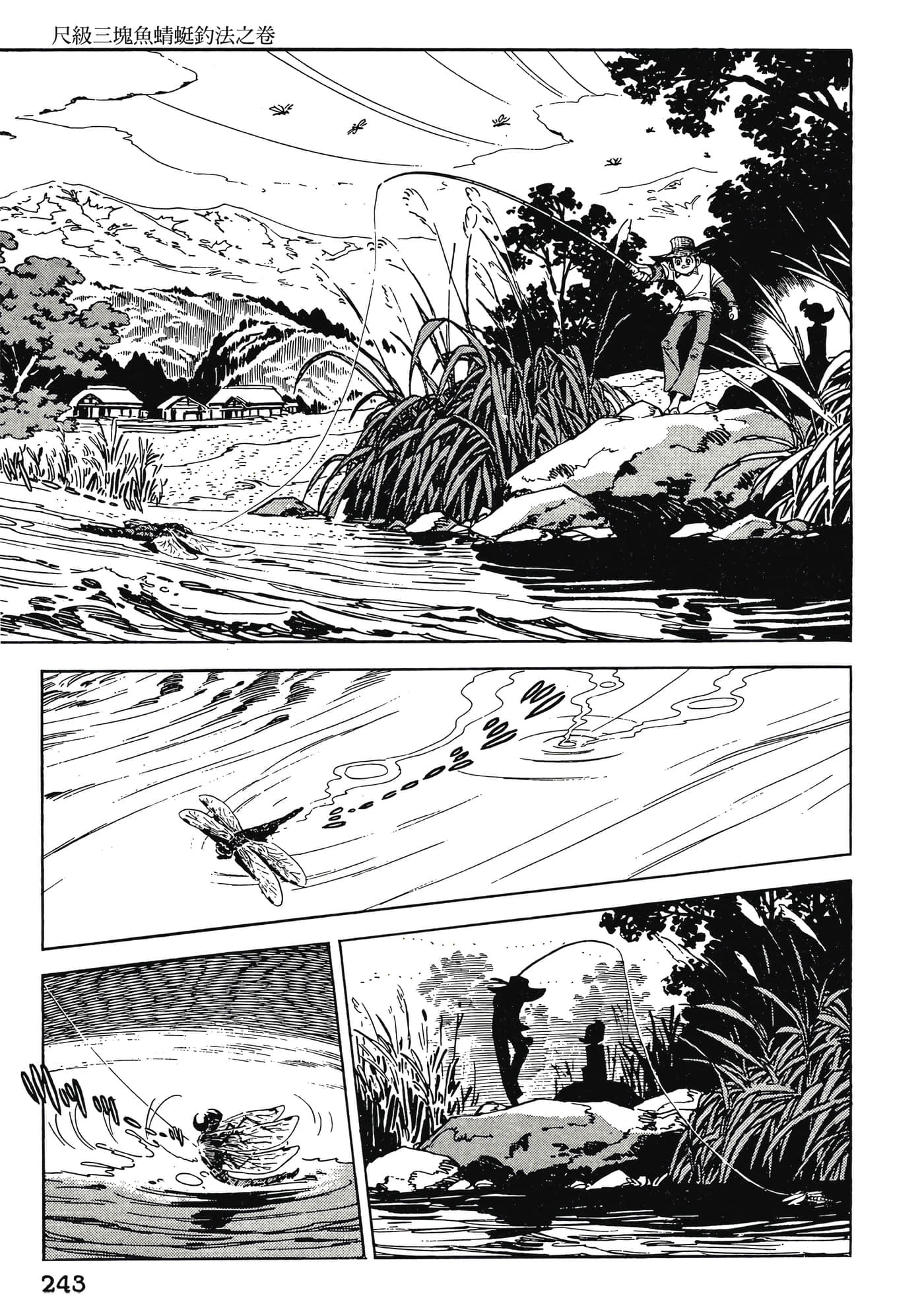 Page 243