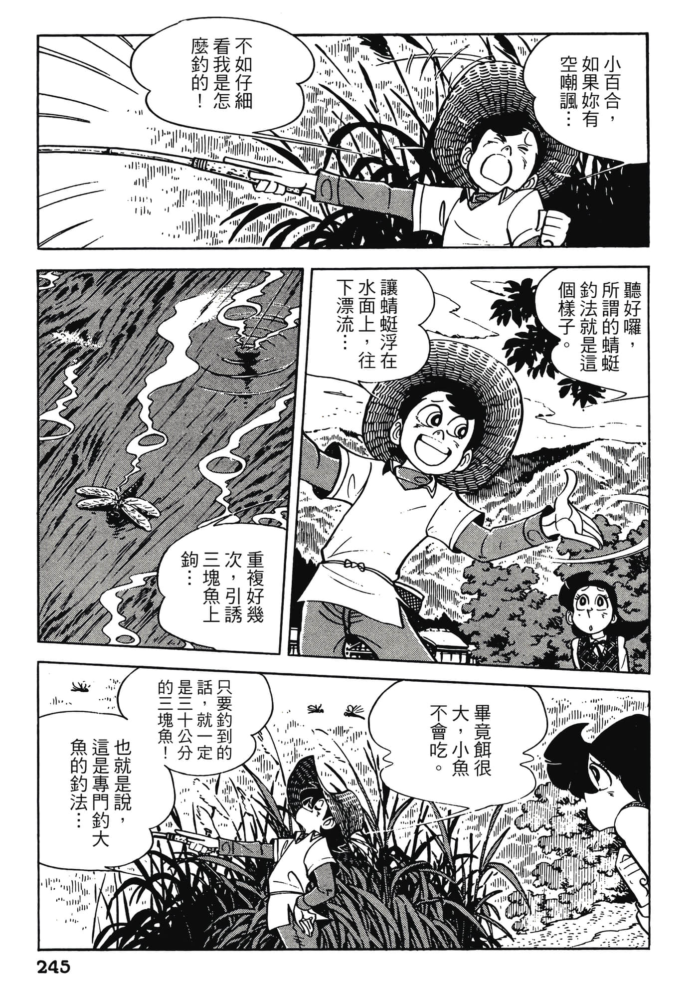 Page 245