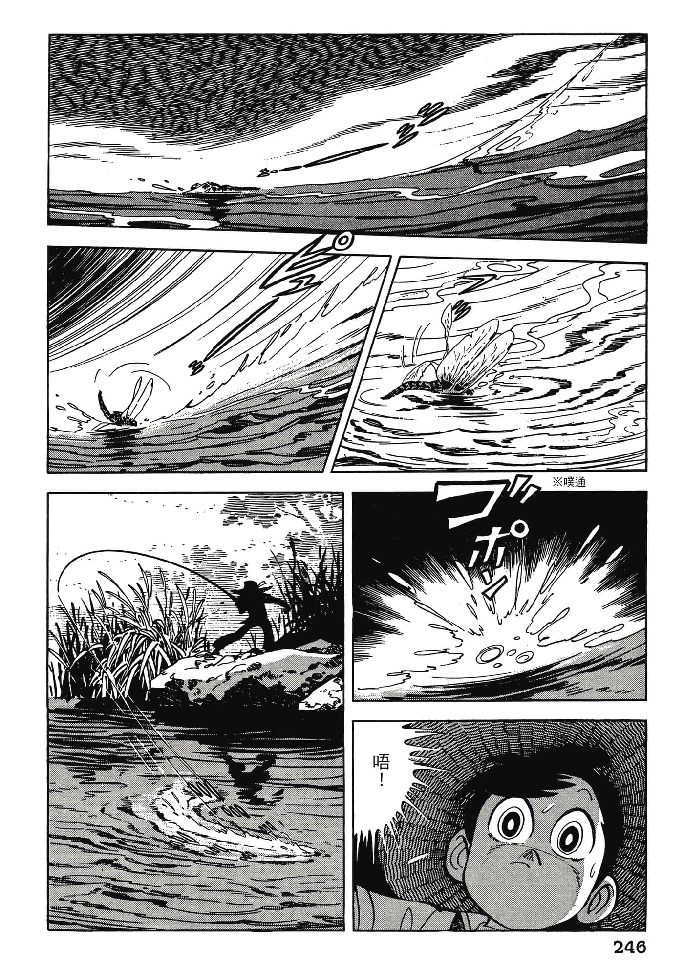 Page 246