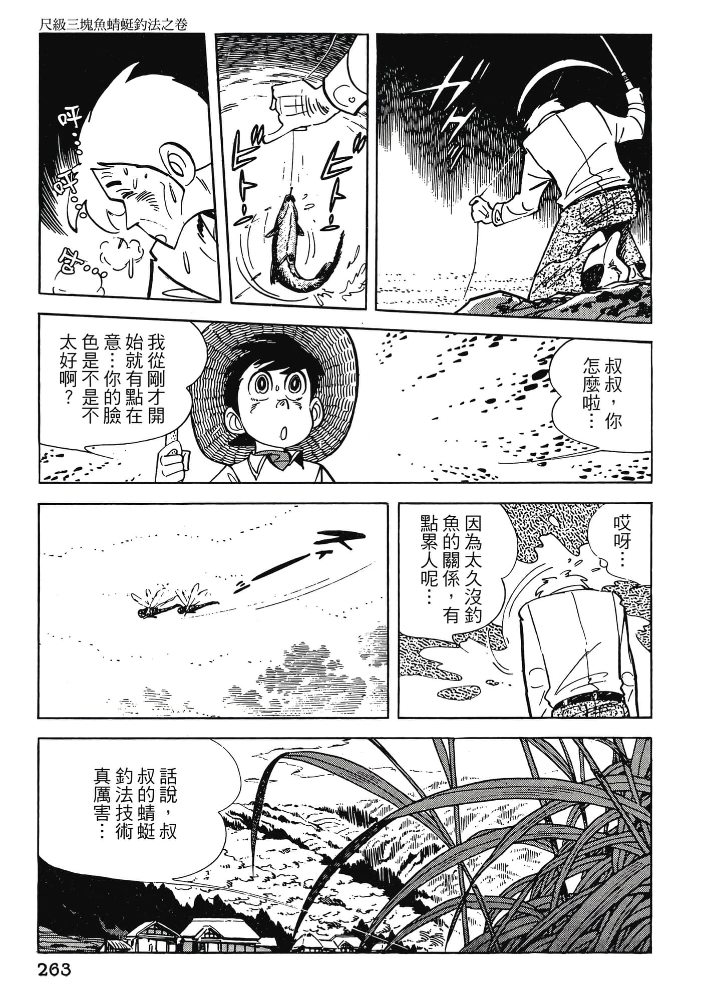 Page 263