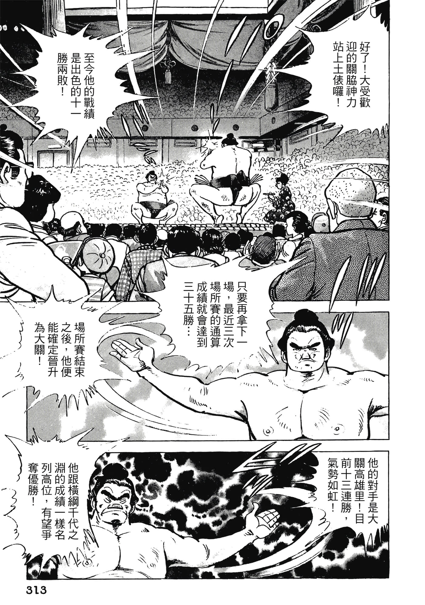 Page 313