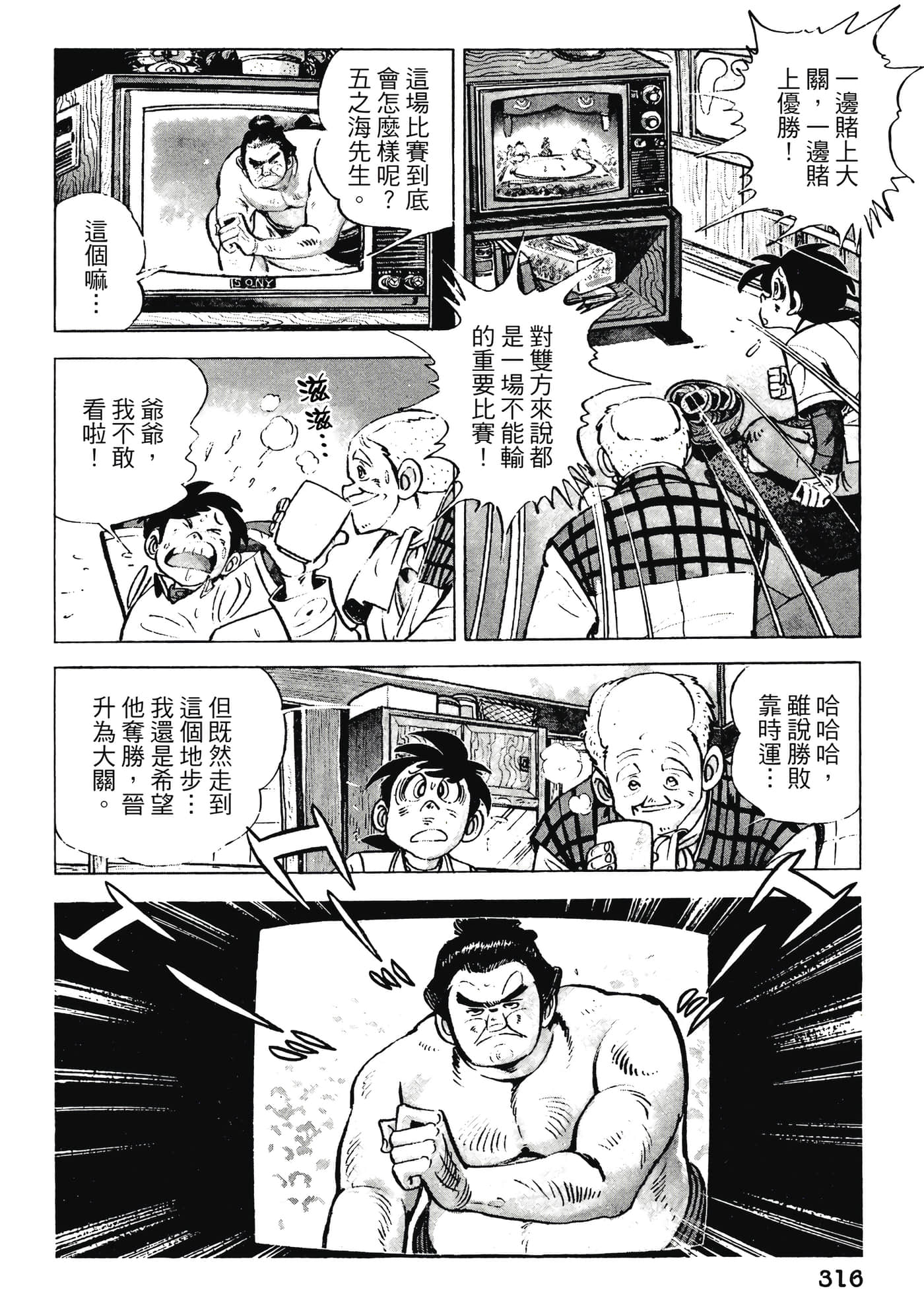 Page 316