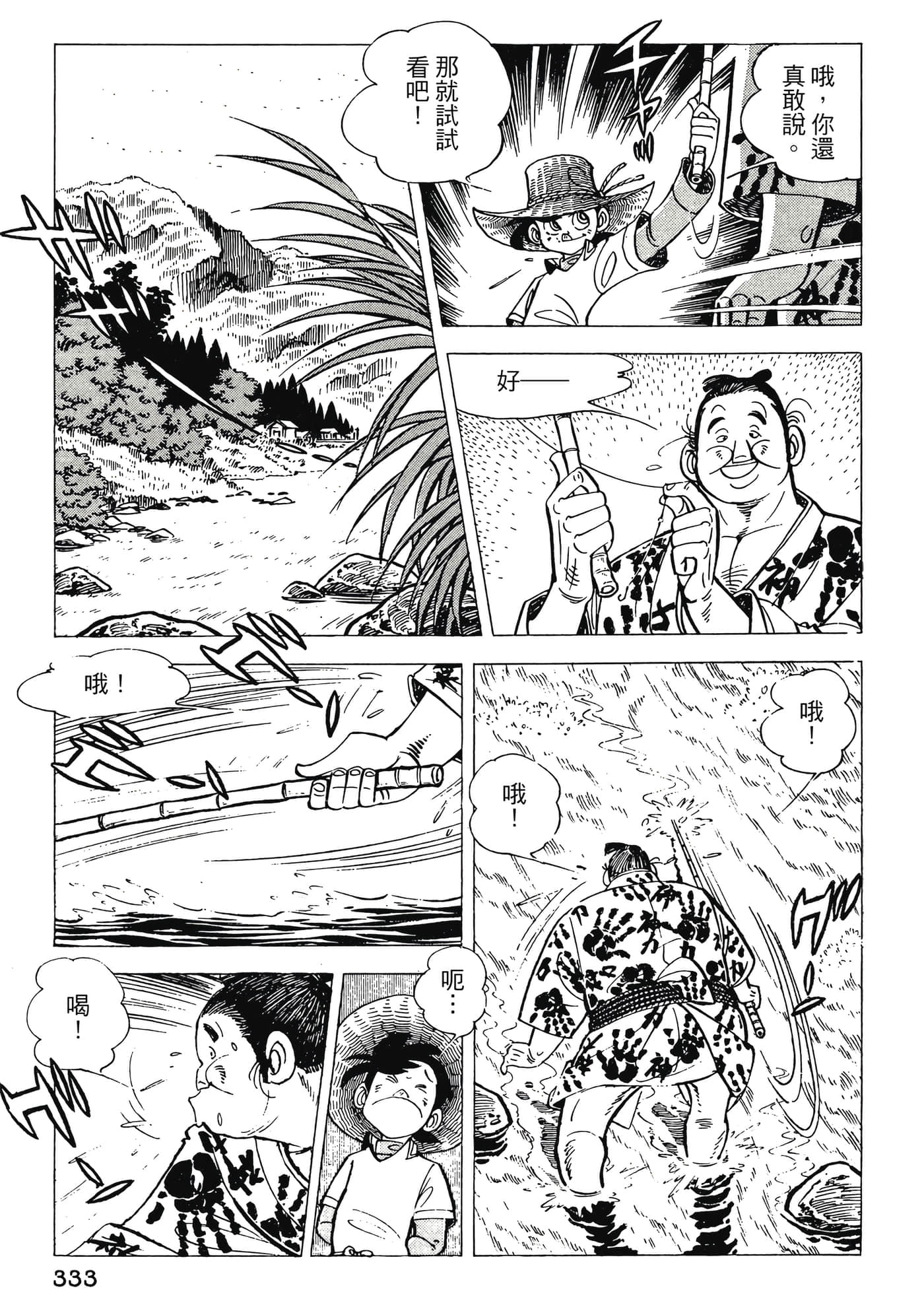 Page 333