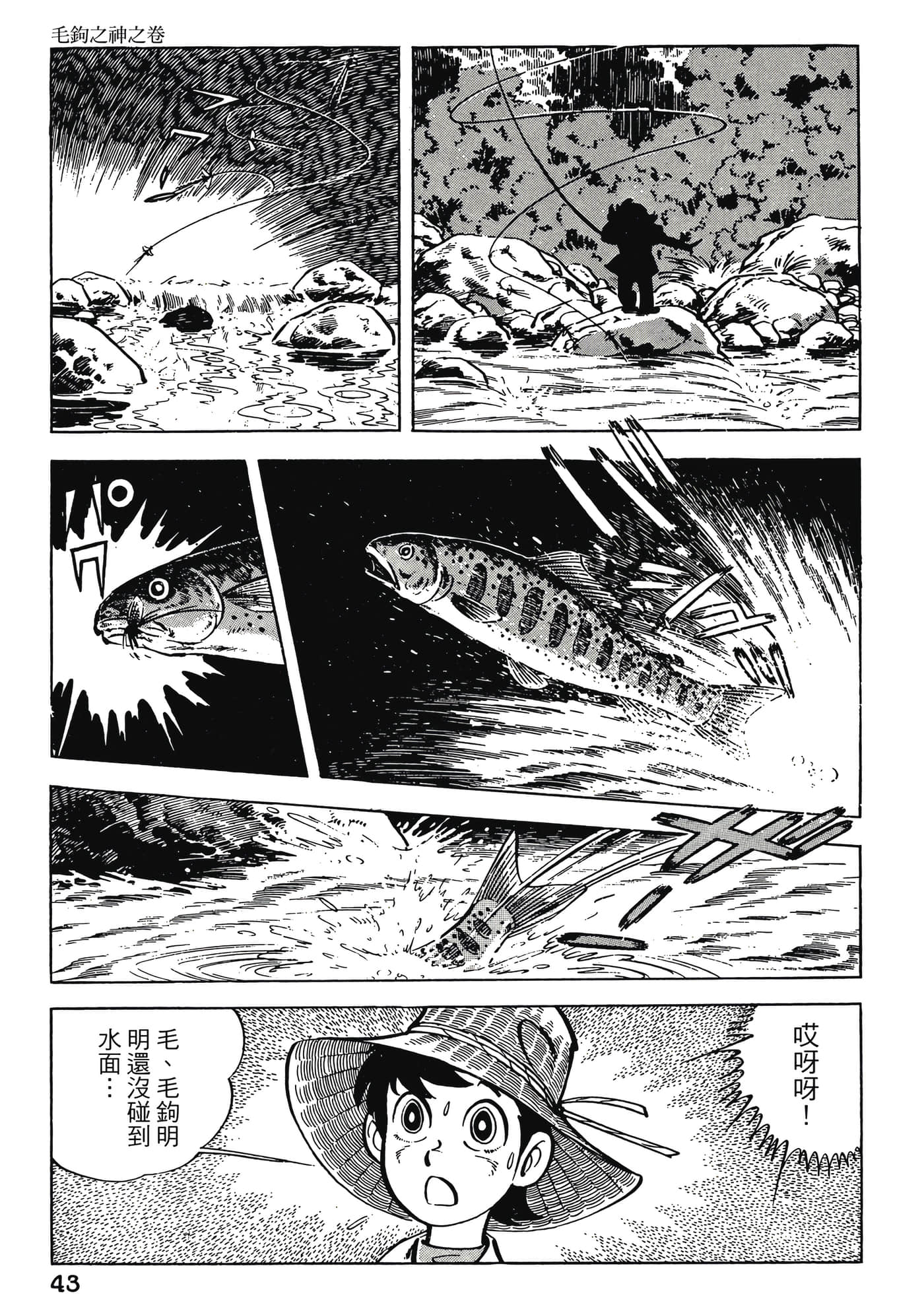 Page 43