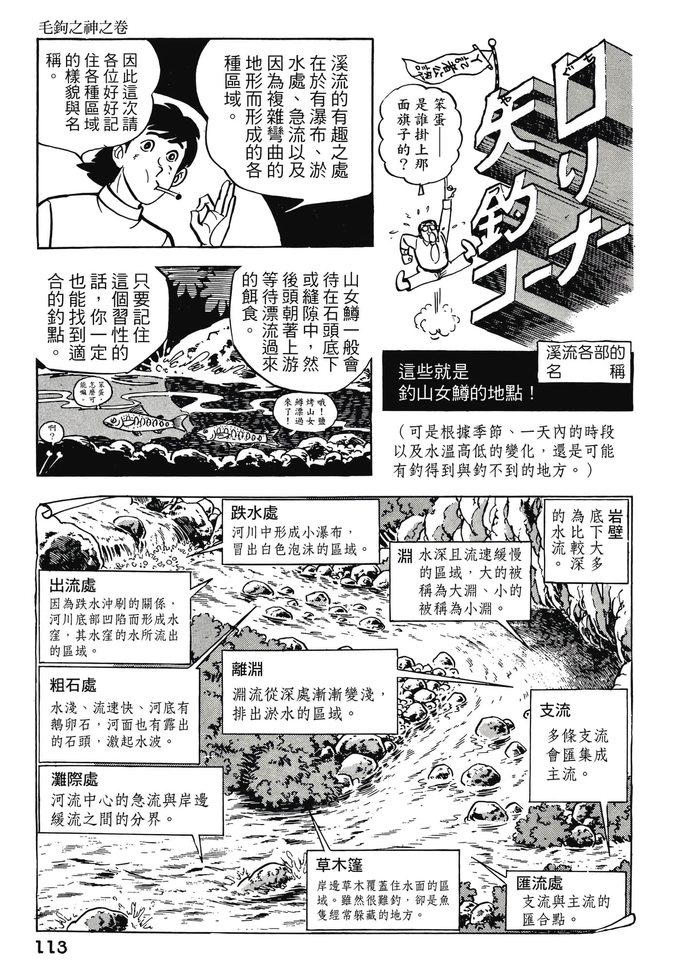 Page 113