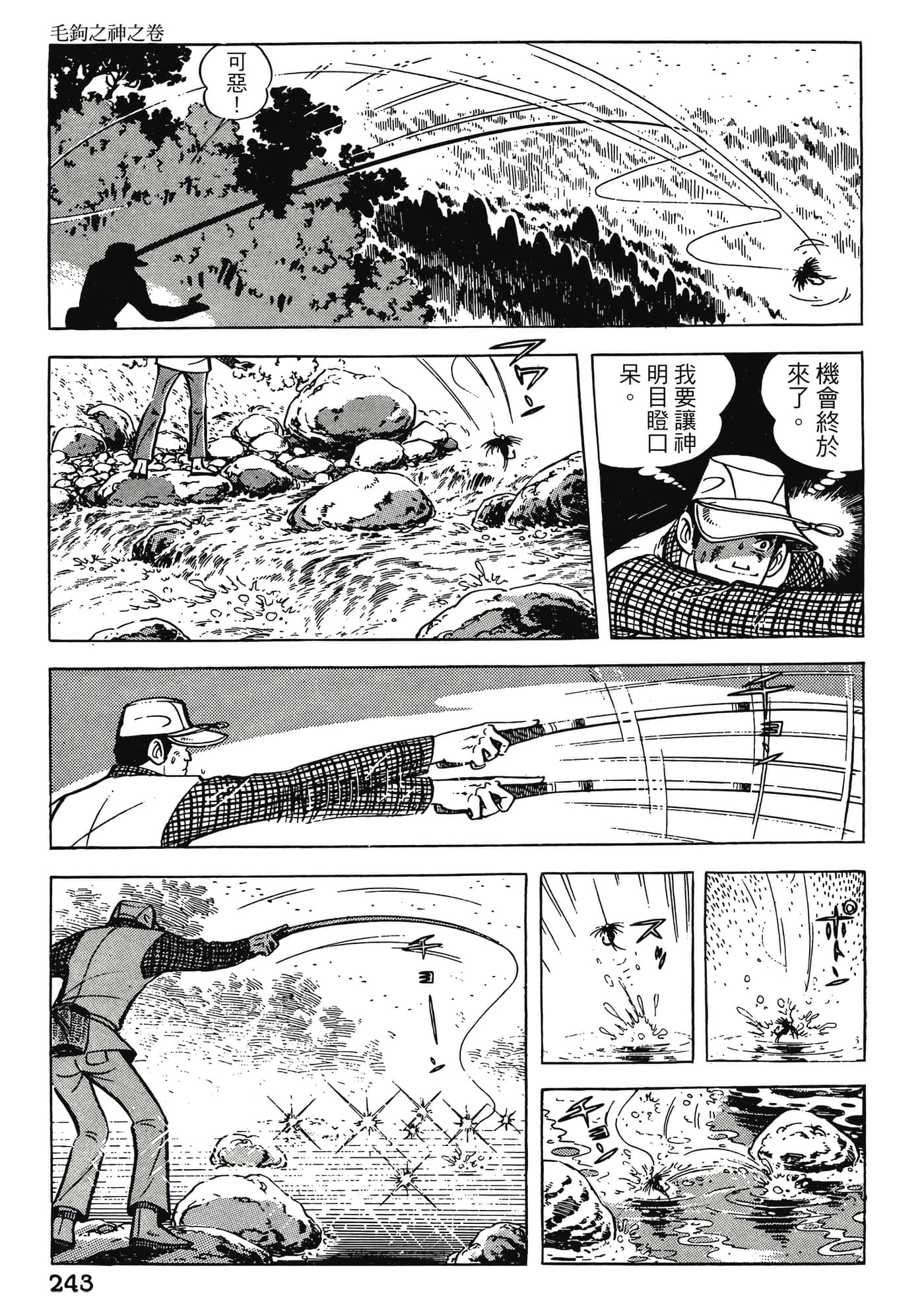 Page 243
