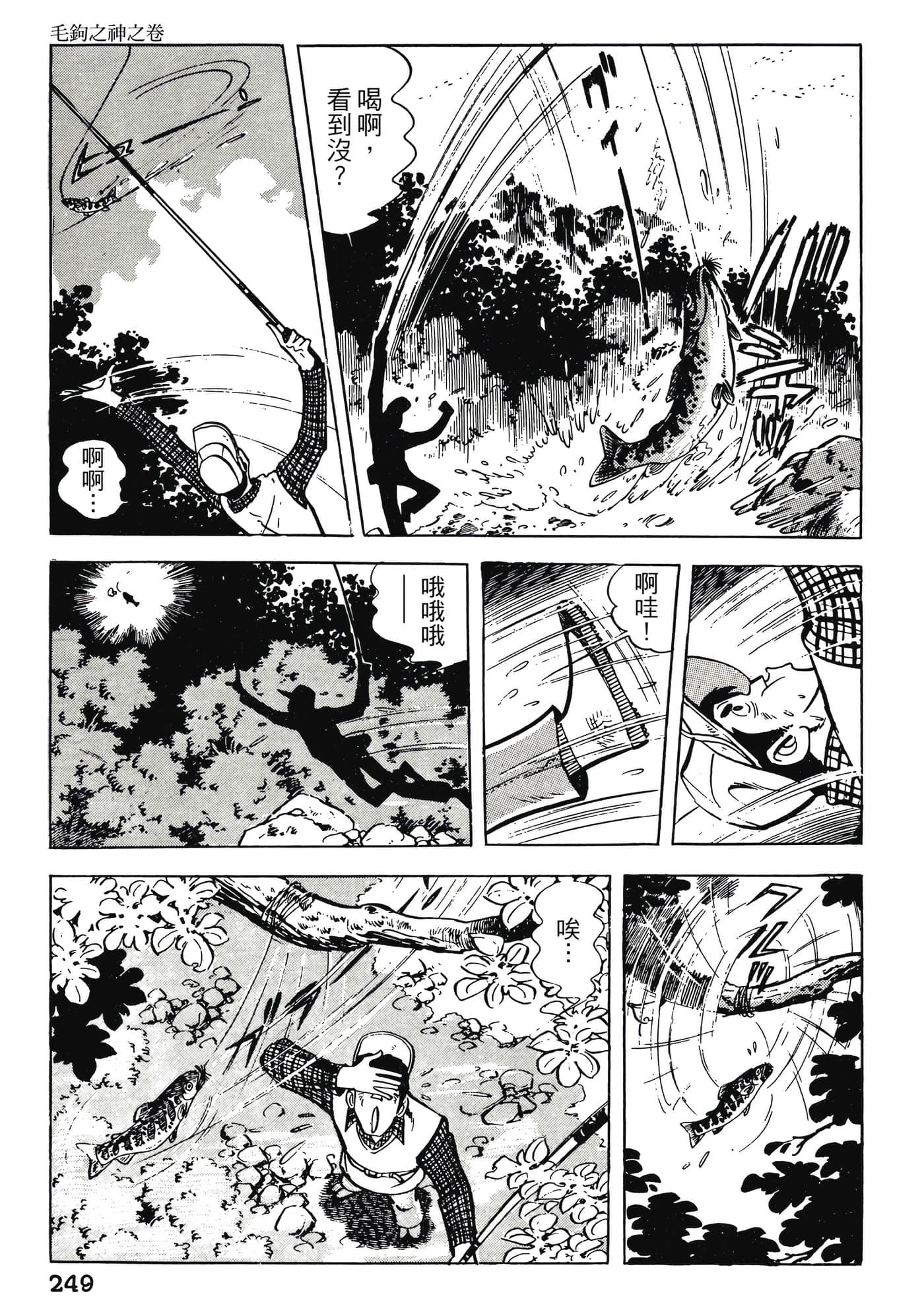 Page 249