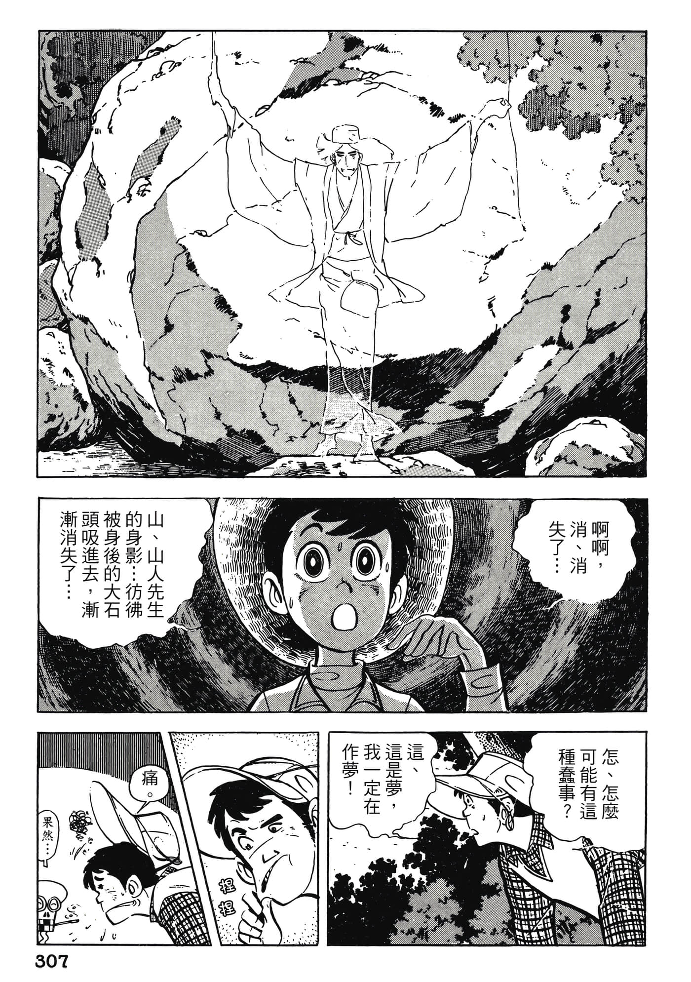 Page 307