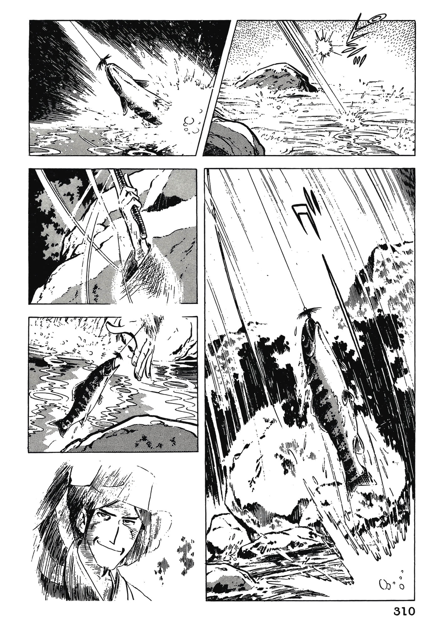 Page 310