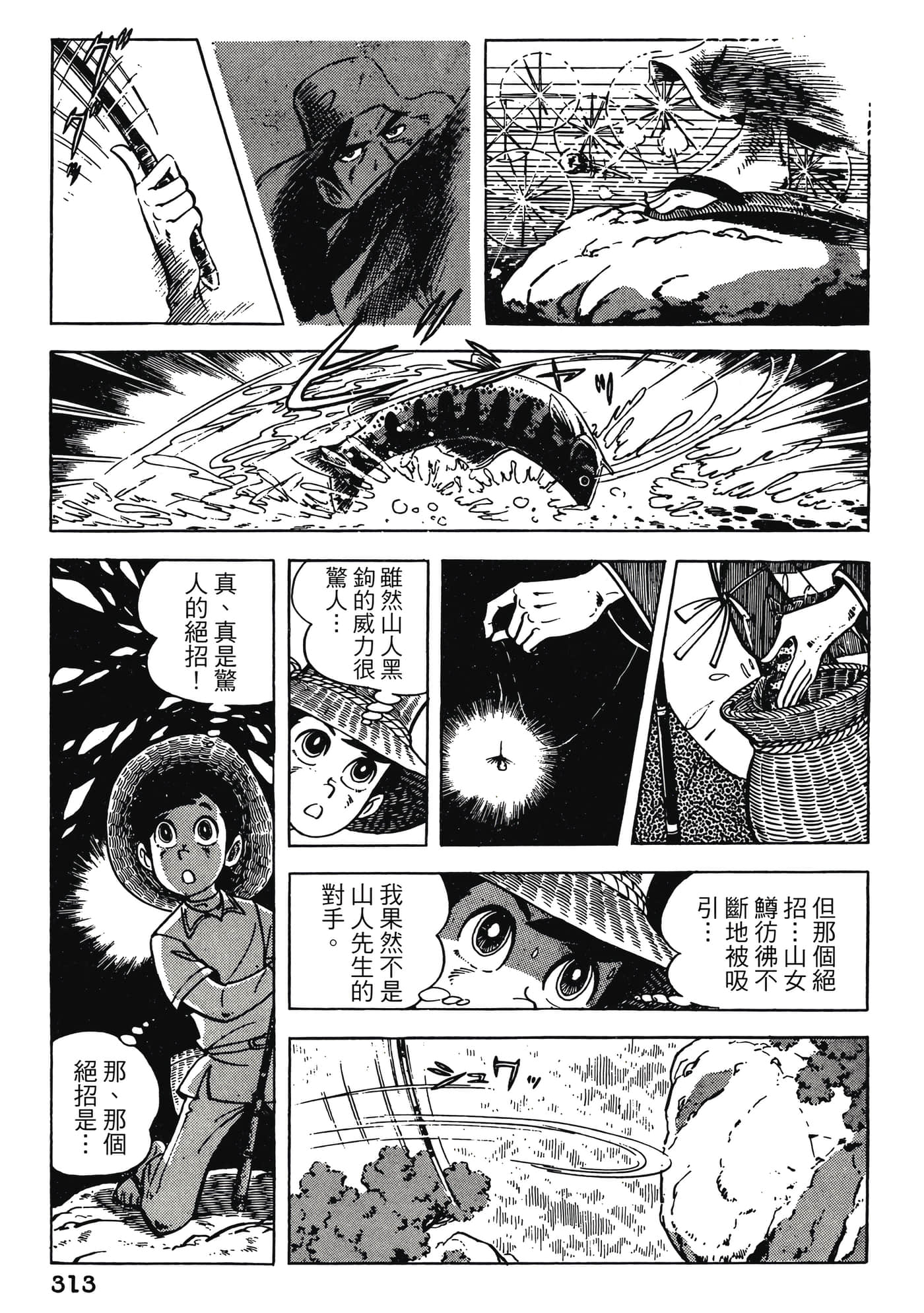 Page 313