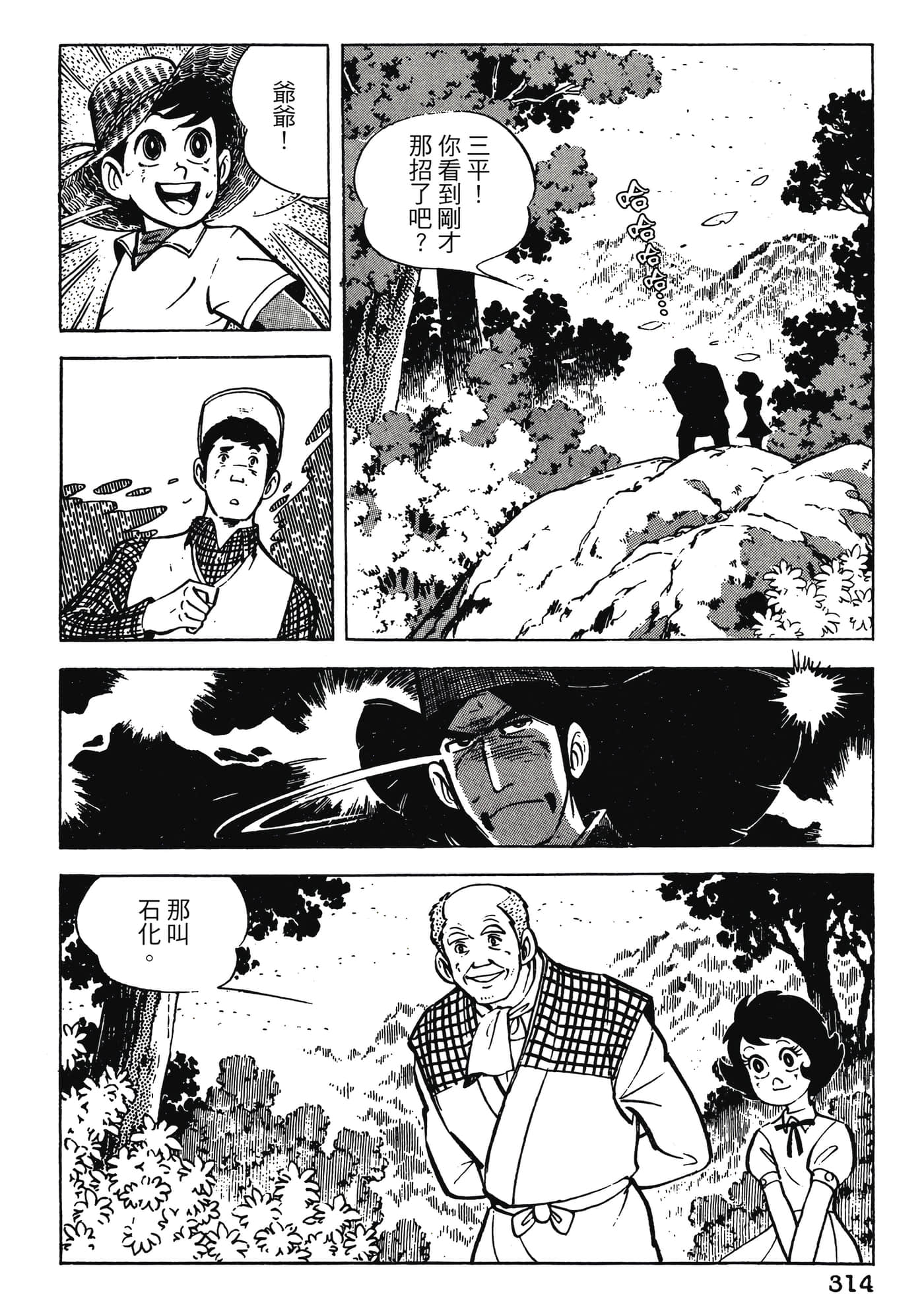 Page 314