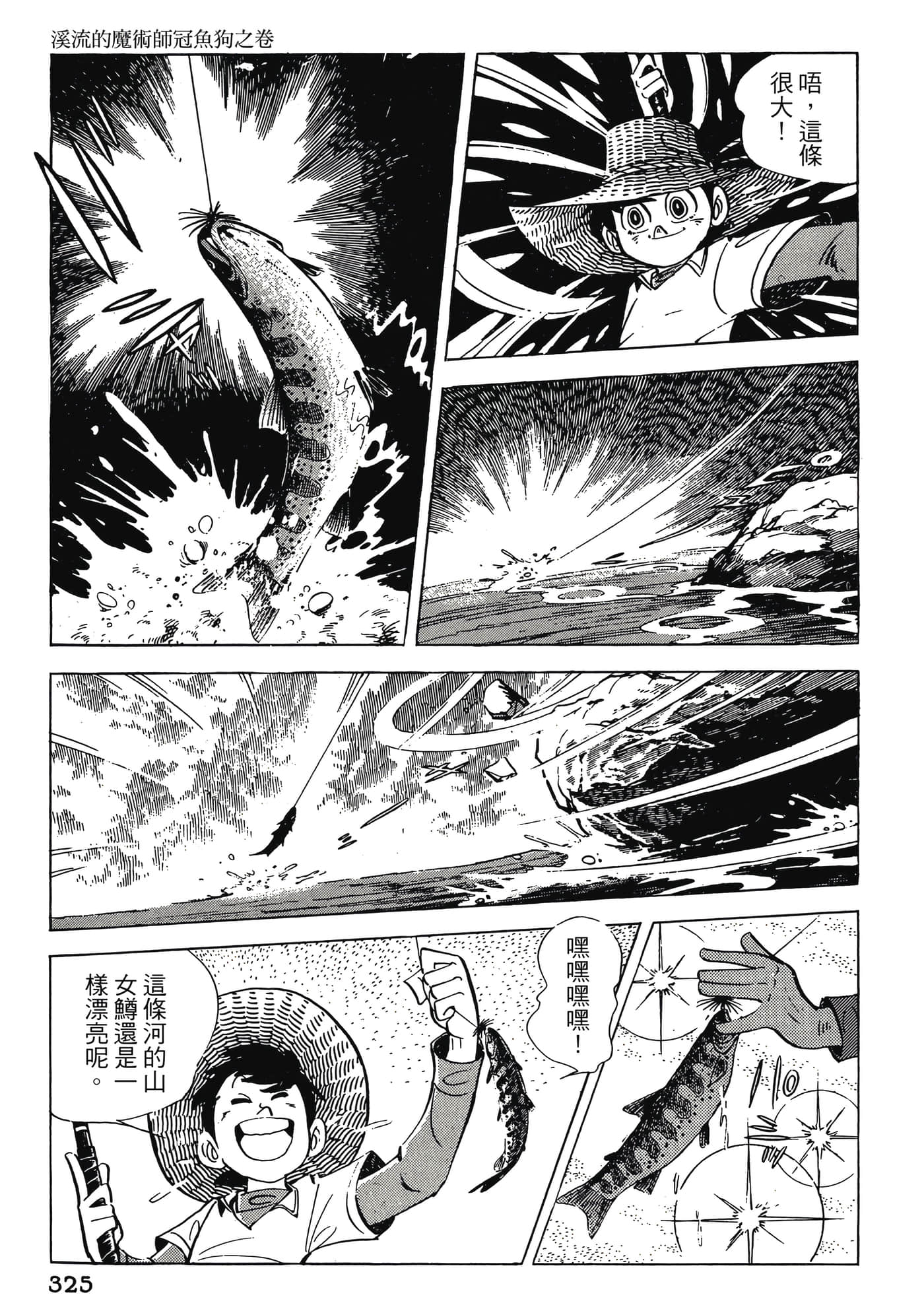 Page 325
