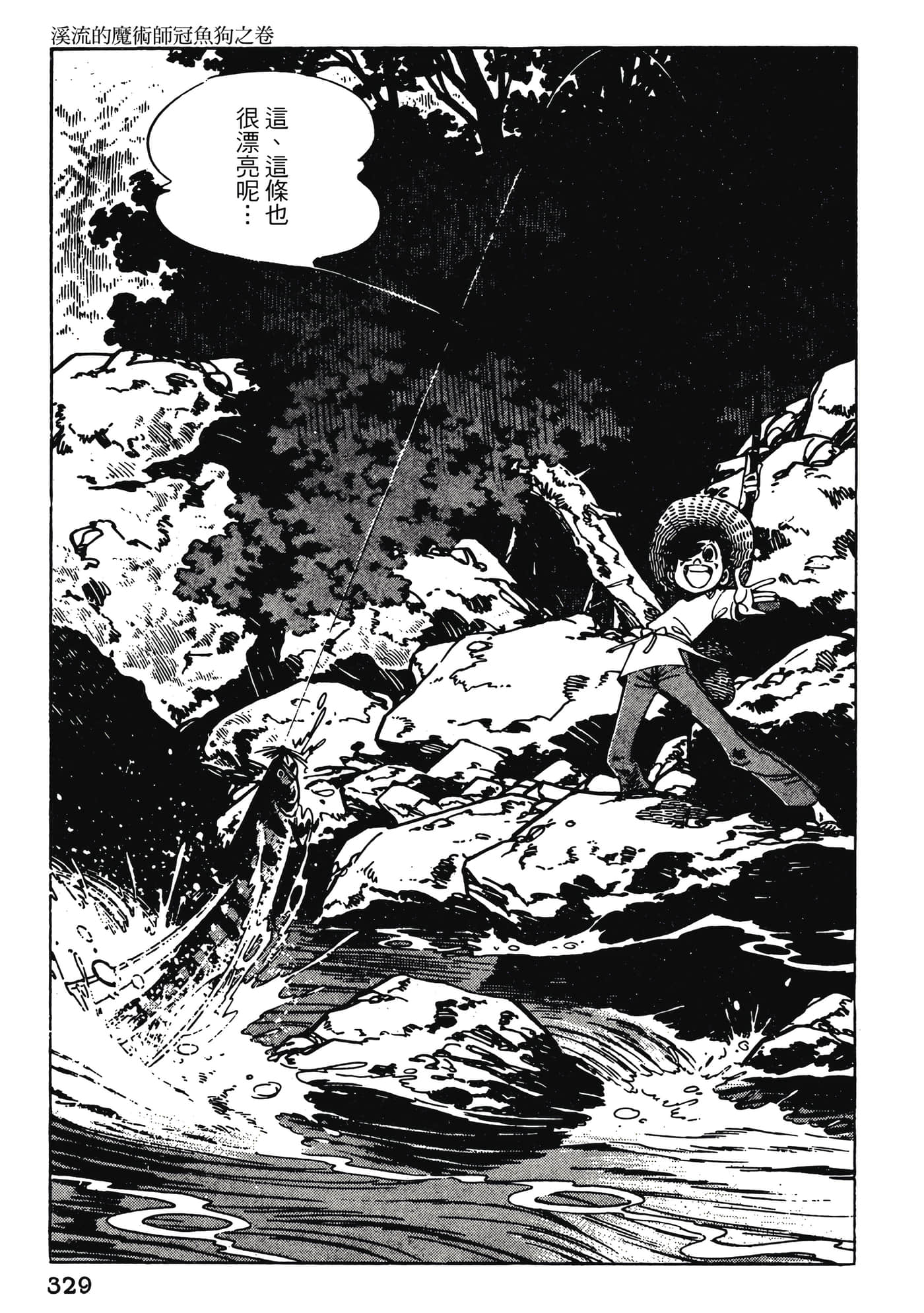 Page 329