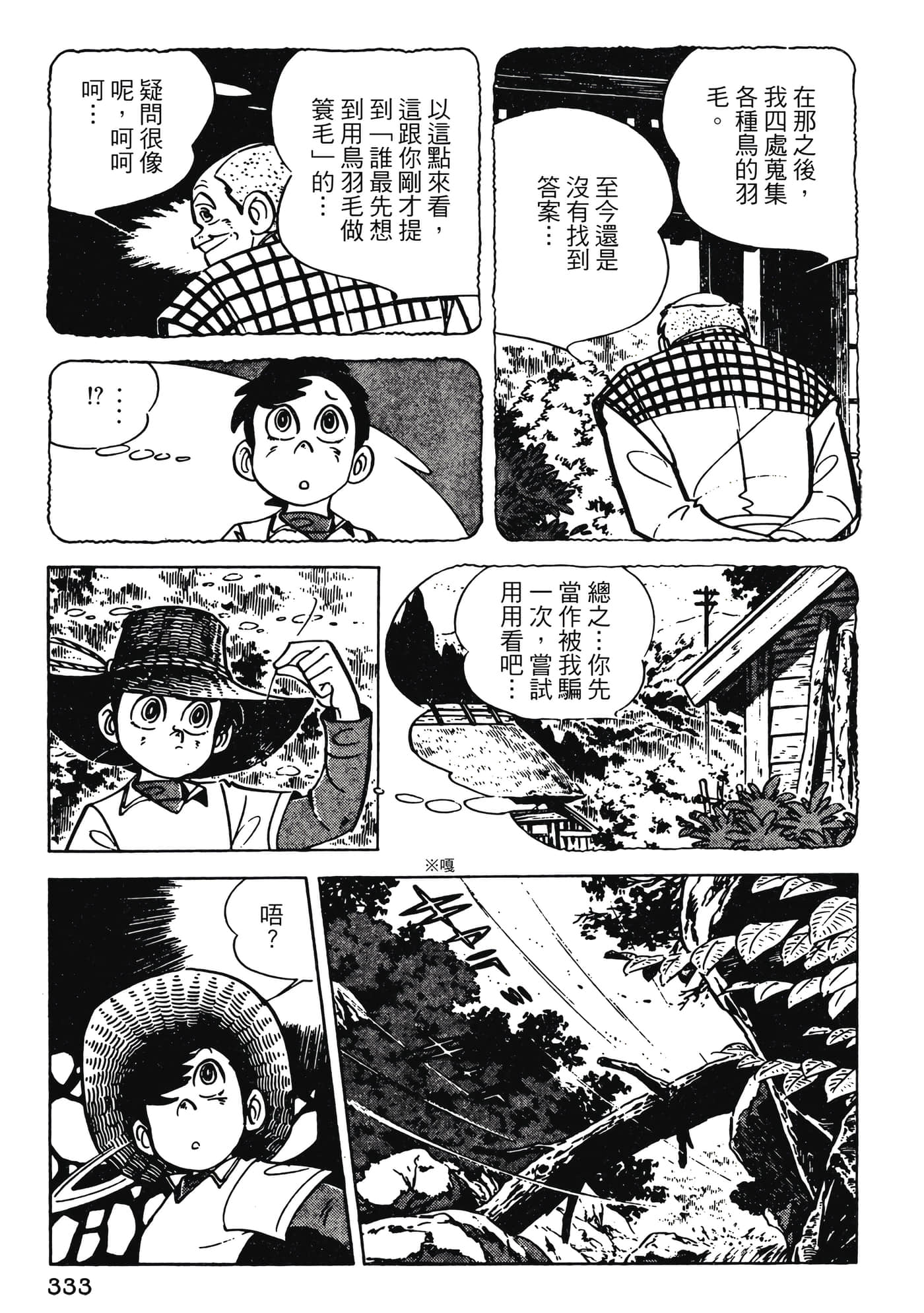 Page 333