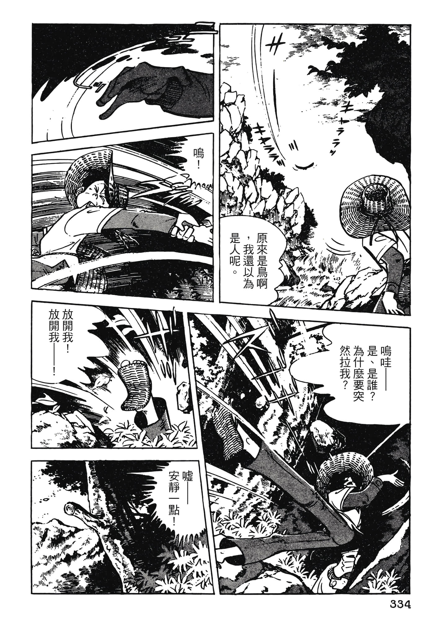 Page 334