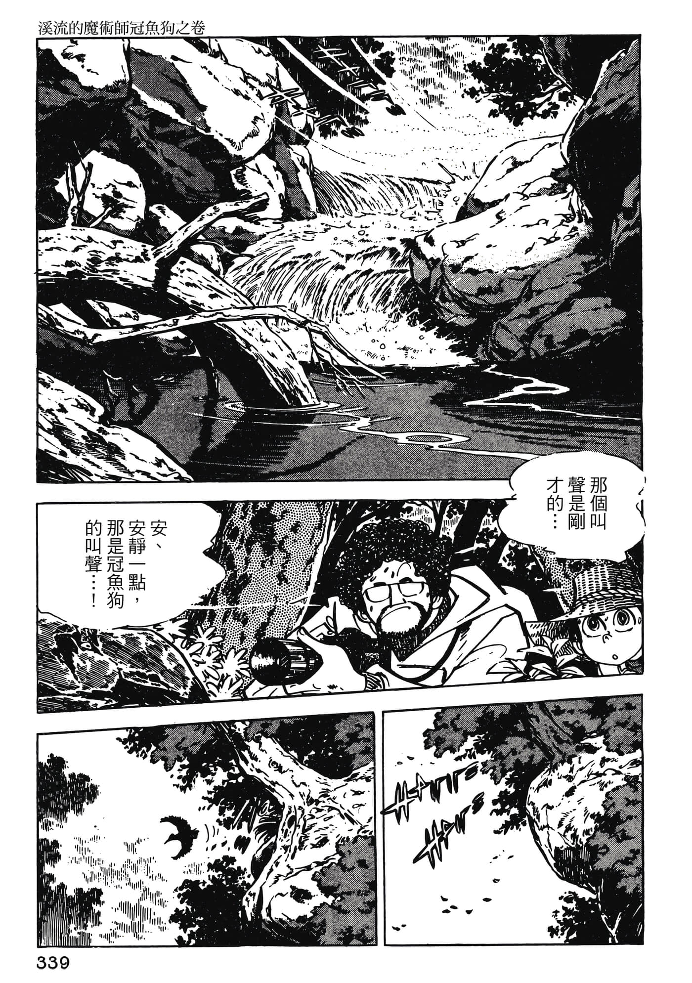 Page 339