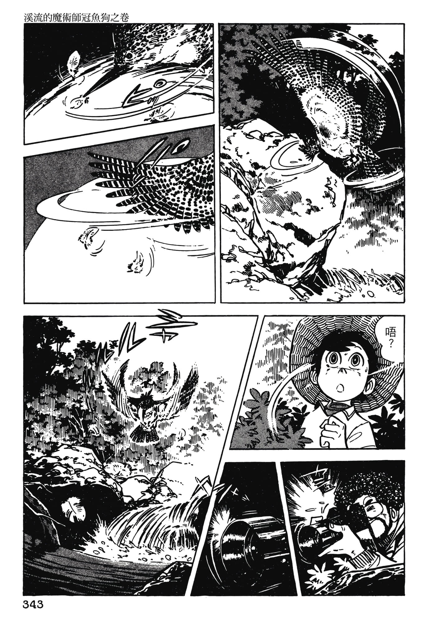 Page 343