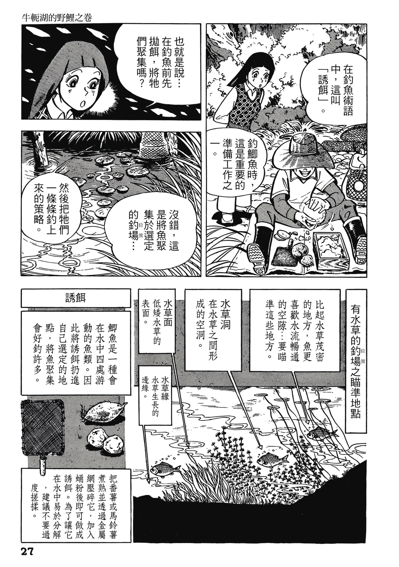 Page 27