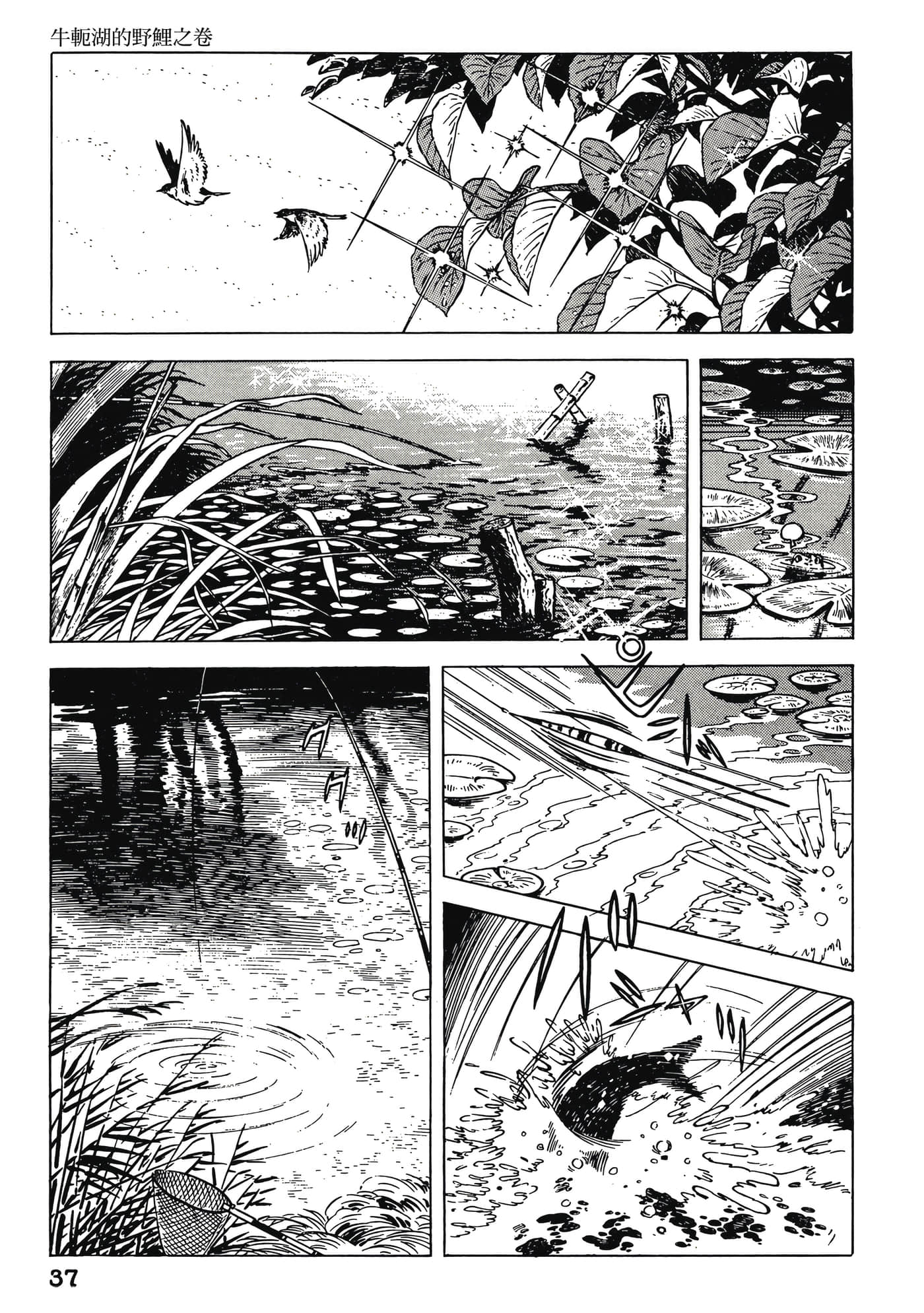 Page 37