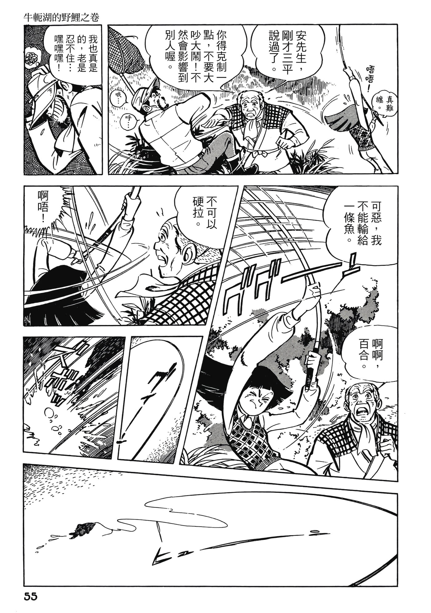 Page 55