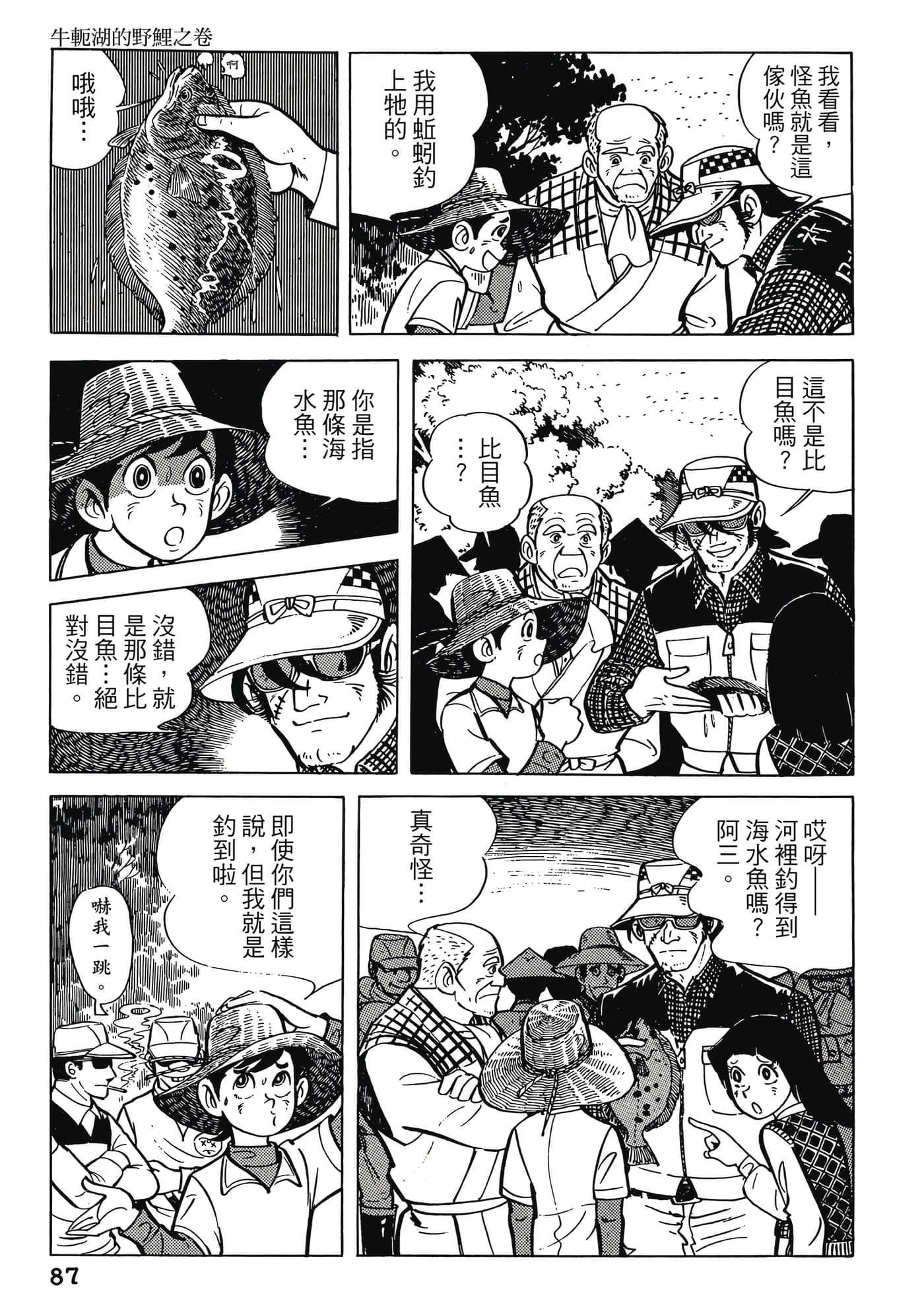 Page 87