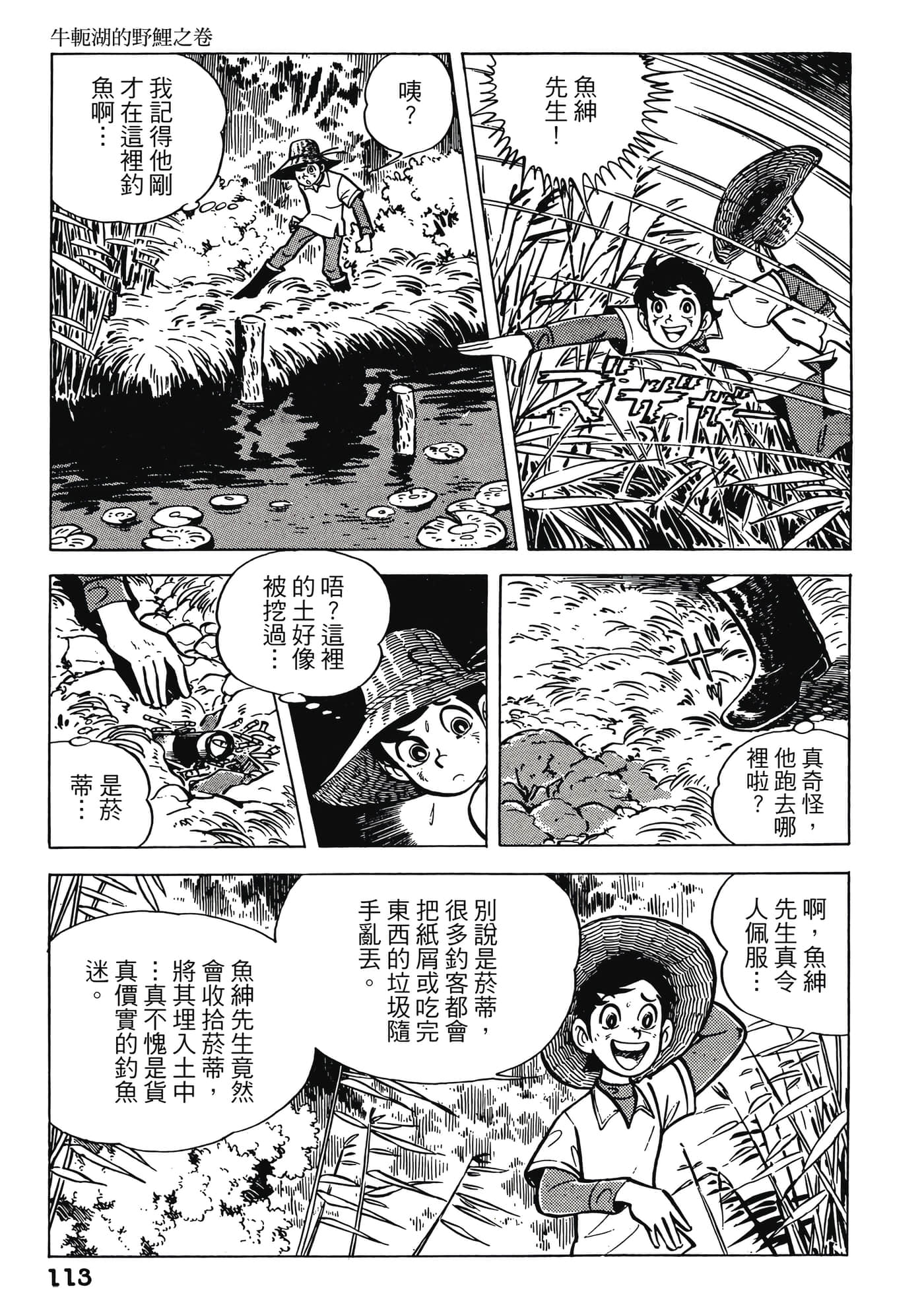 Page 113