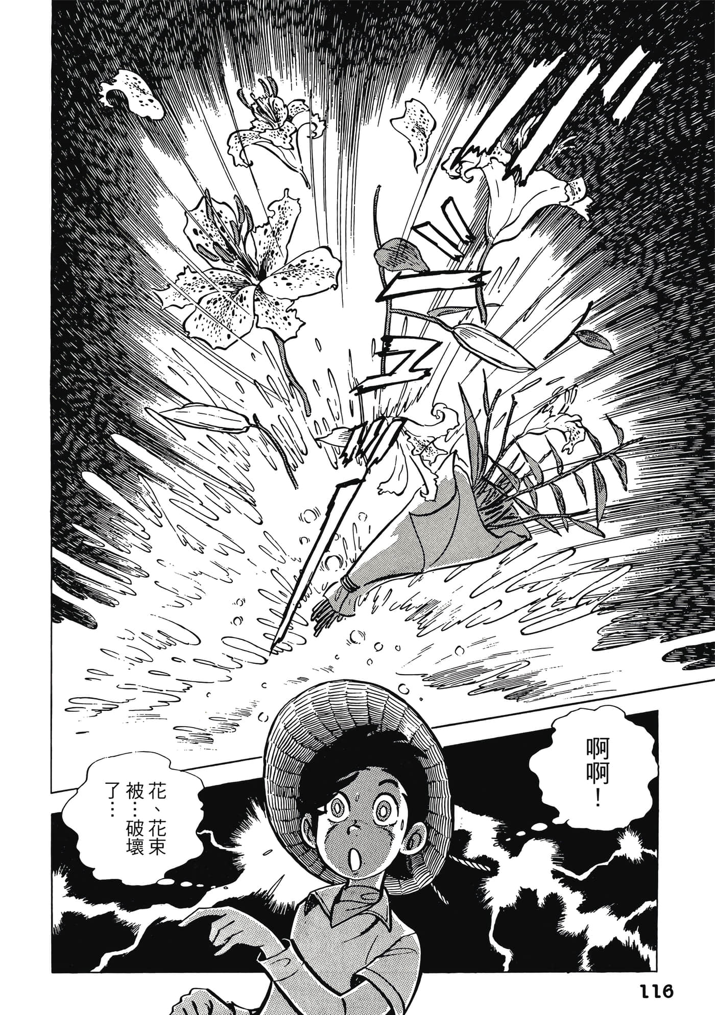 Page 116