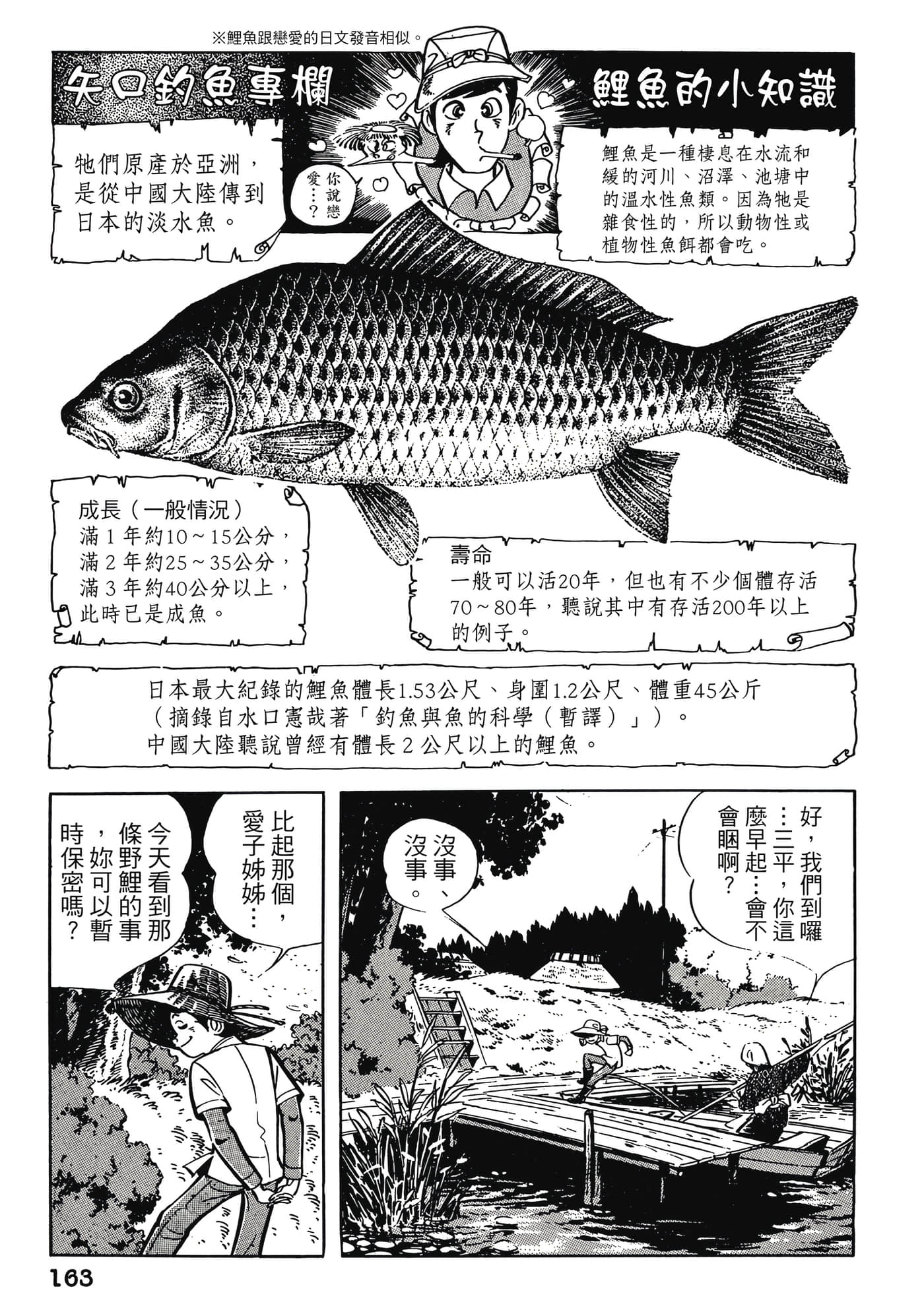 Page 163