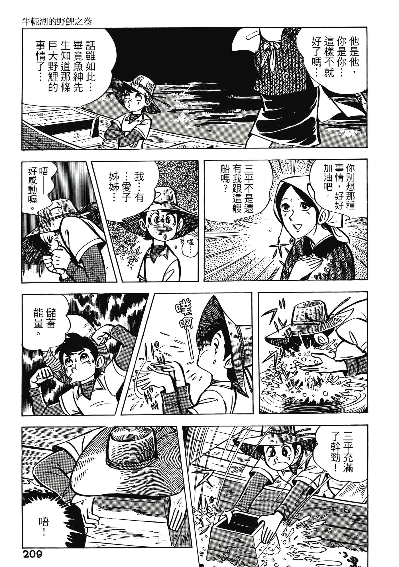 Page 209
