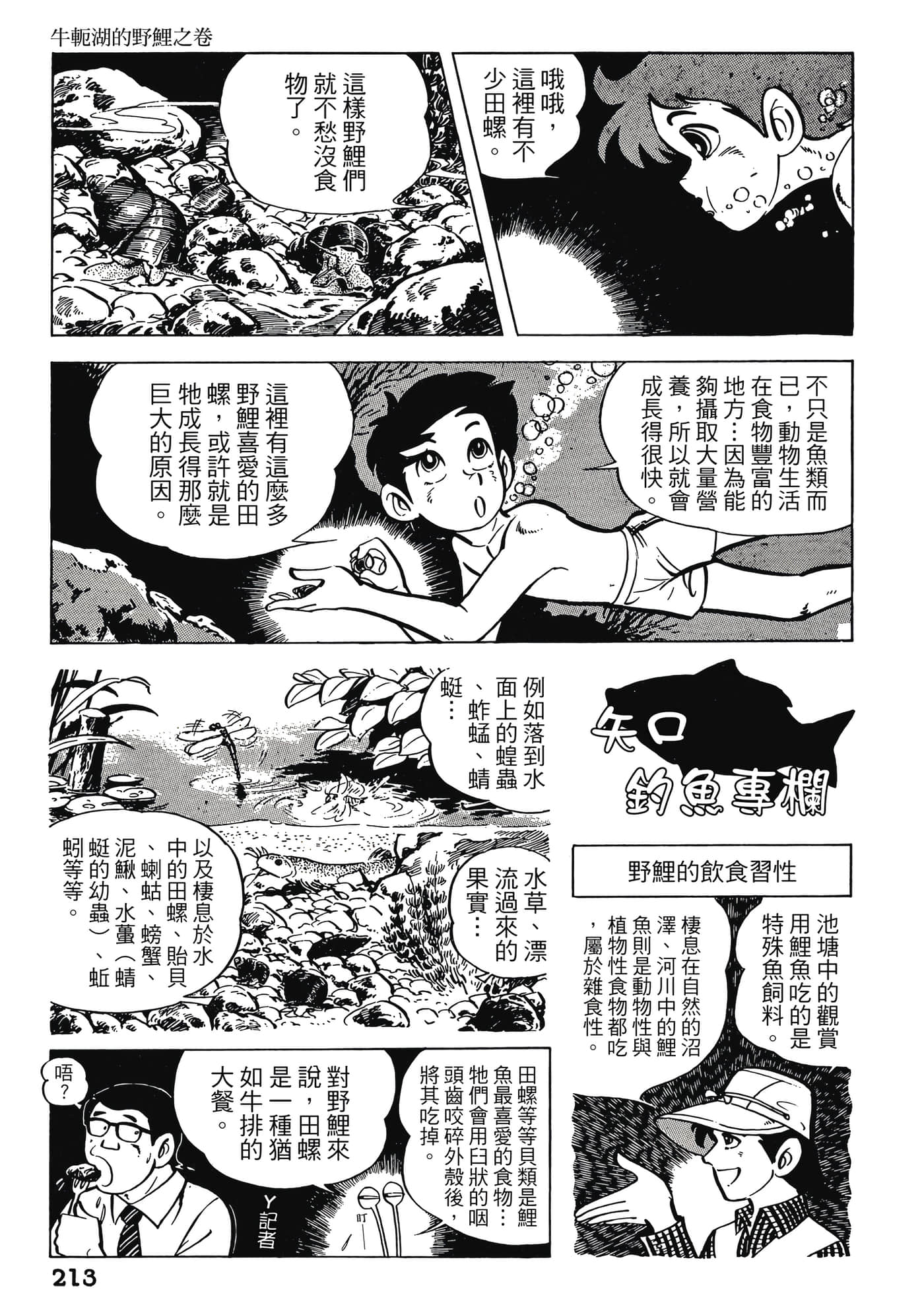 Page 213