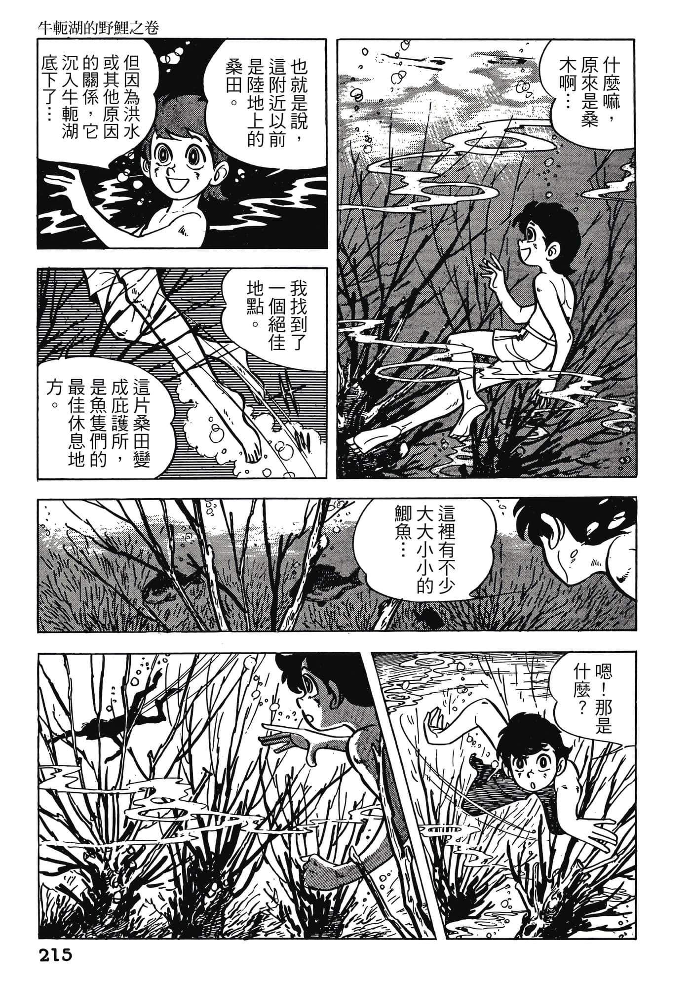 Page 215
