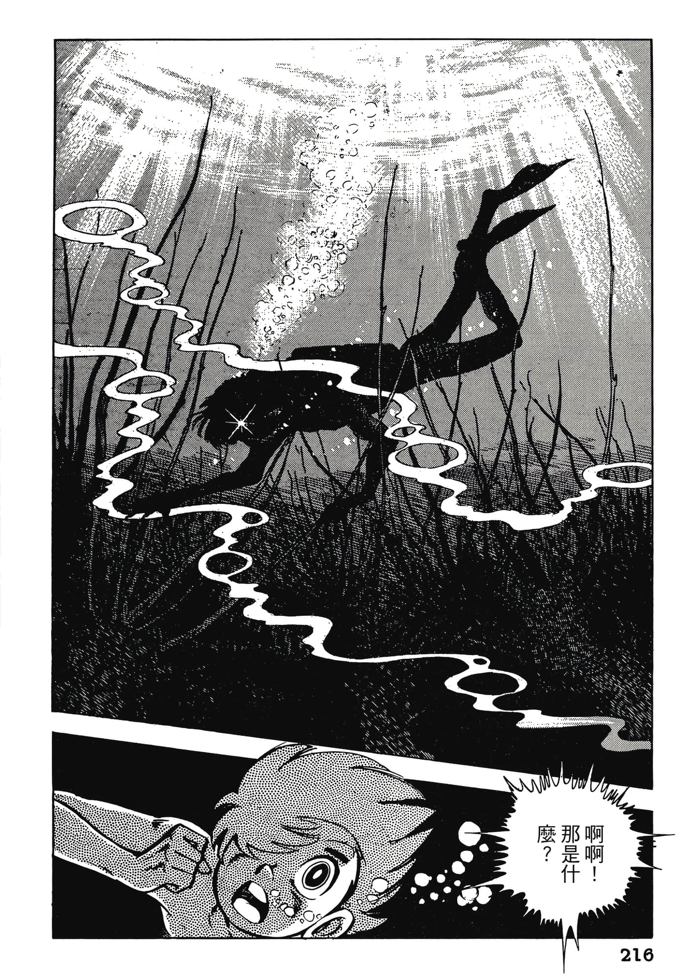 Page 216