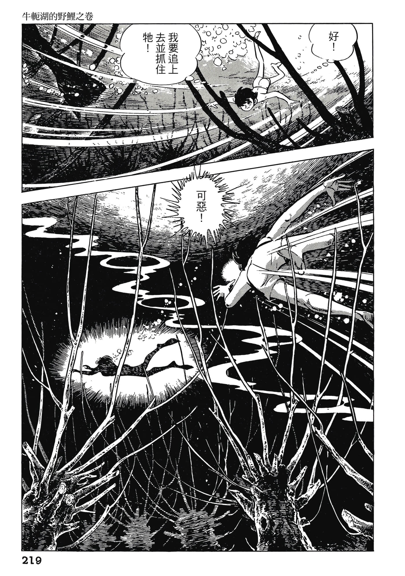 Page 219