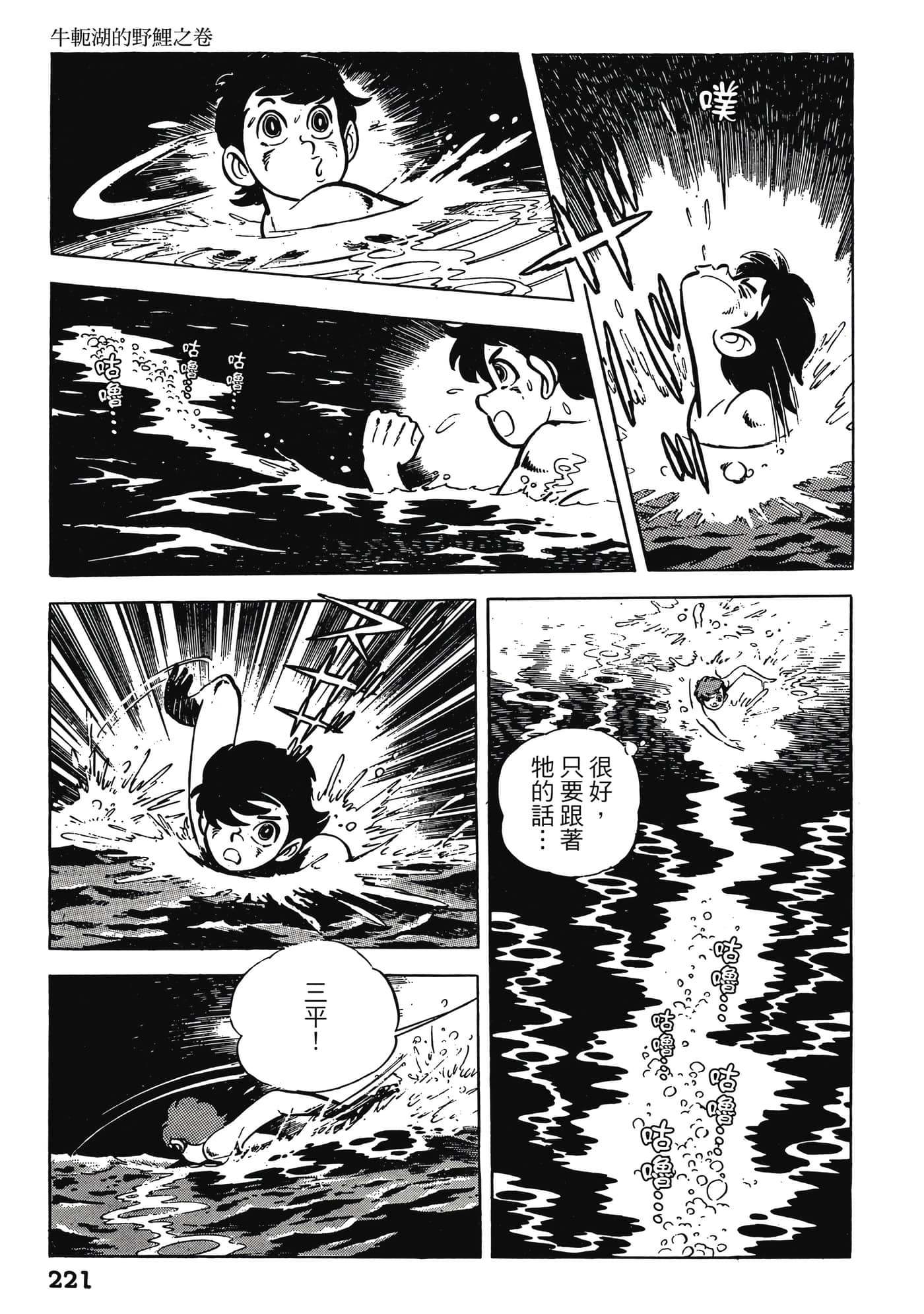 Page 221