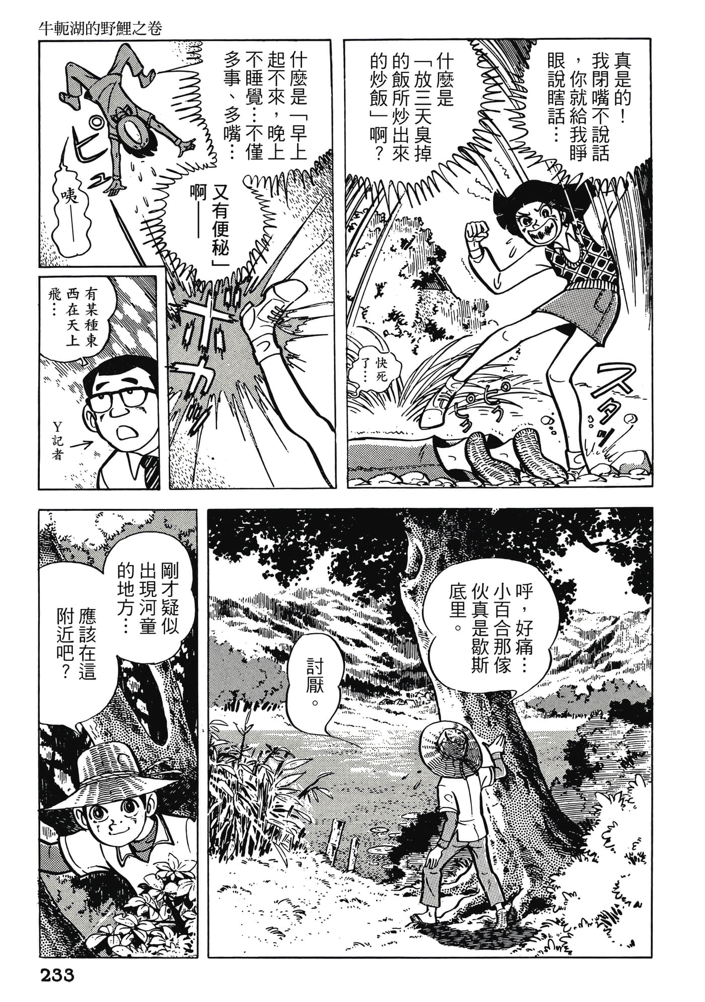 Page 233