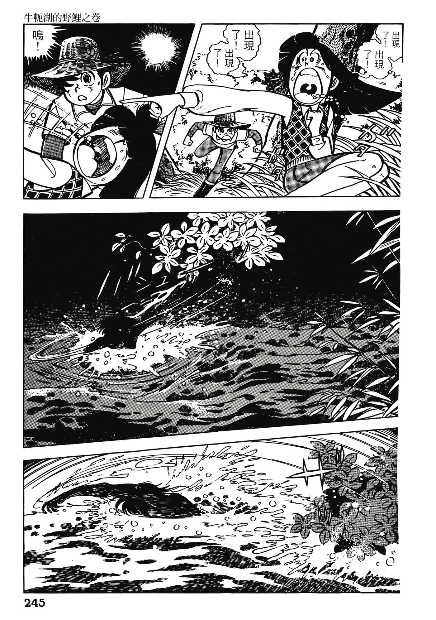 Page 245