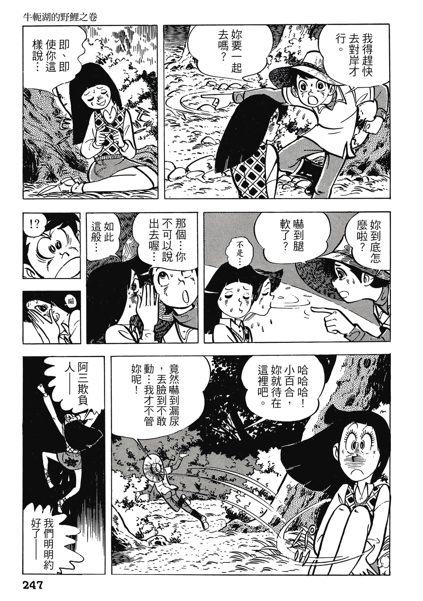 Page 247