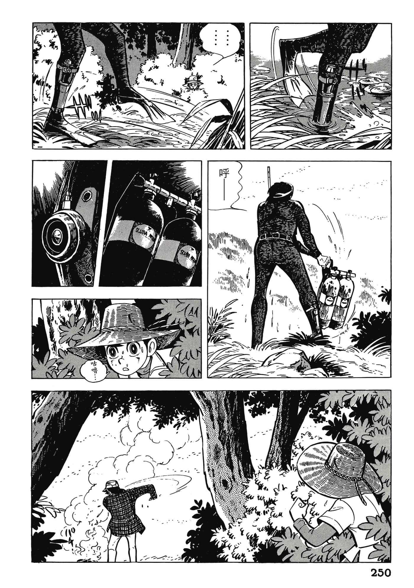 Page 250
