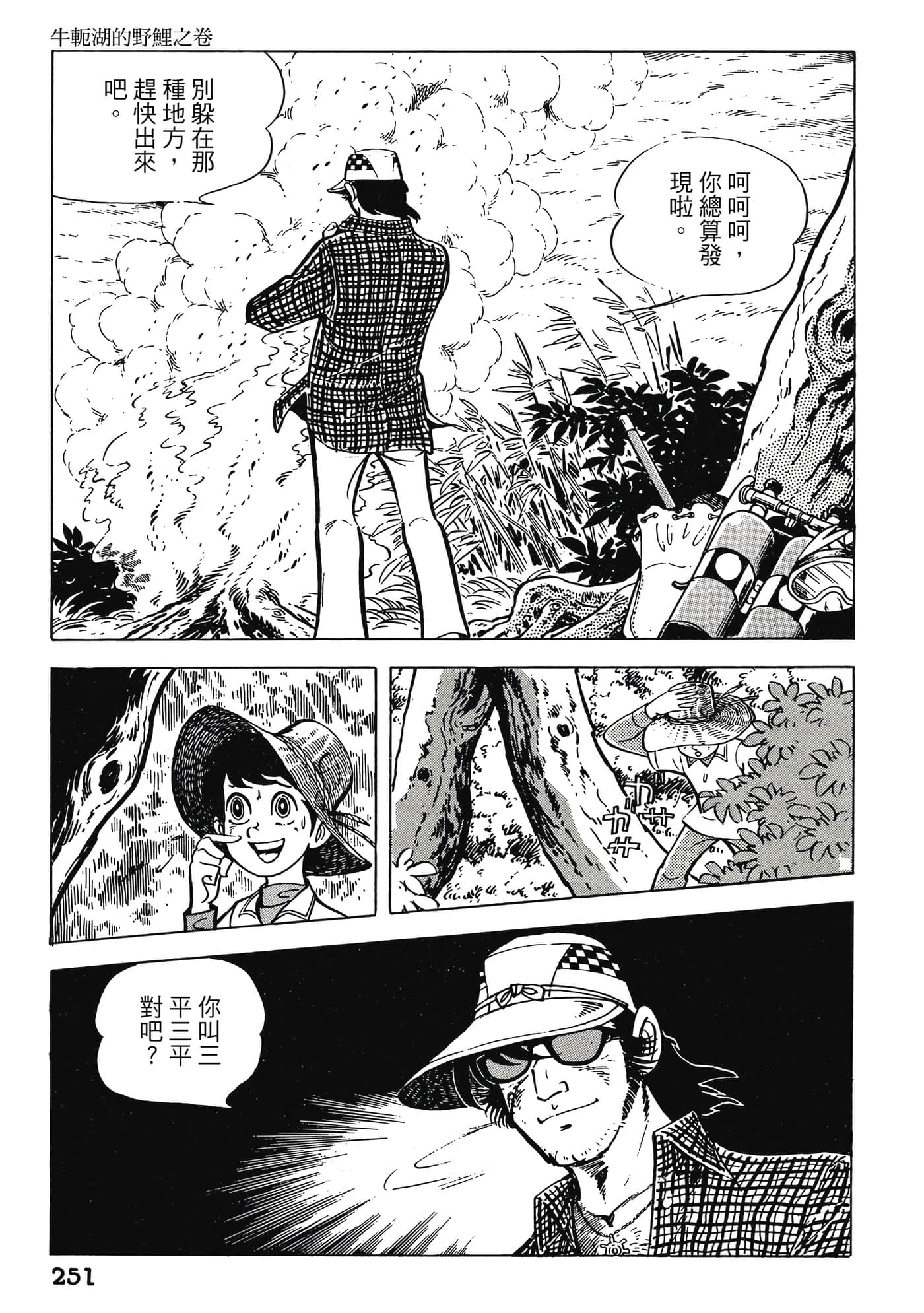 Page 251